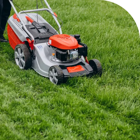 Landscape Maintenance