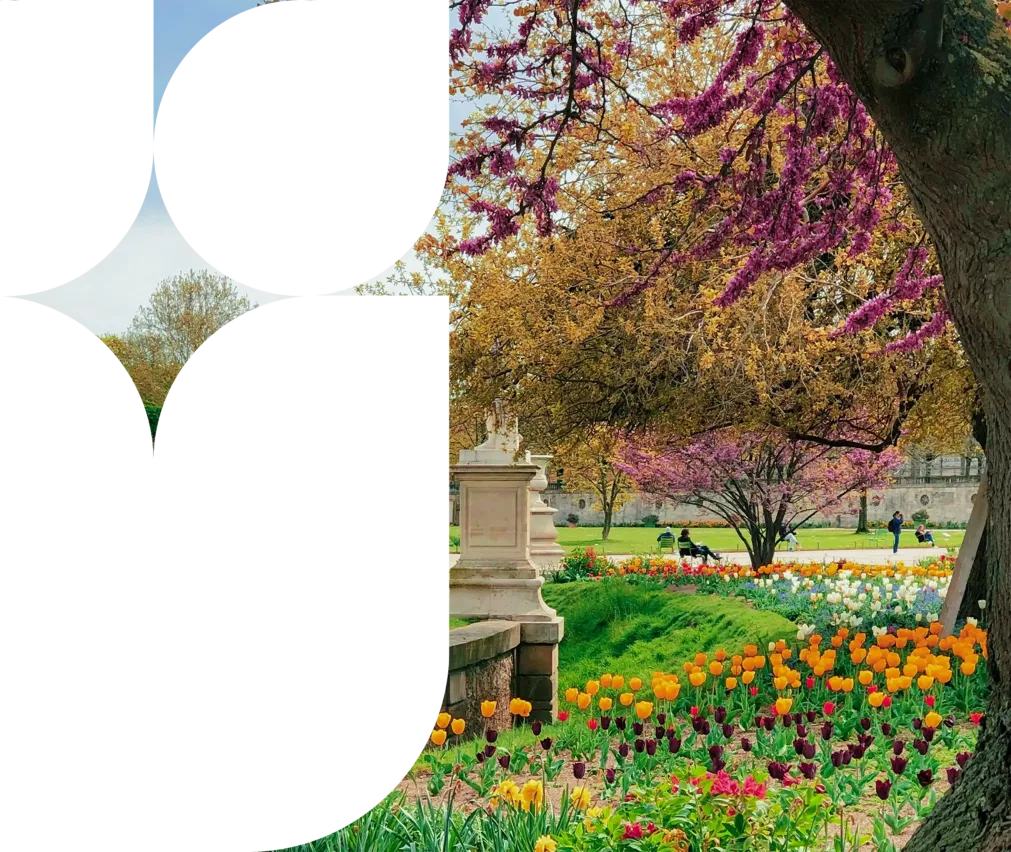 Various types of flowers under a clear sky