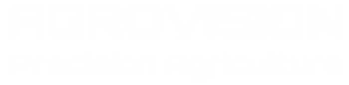 Footer Logo Loop