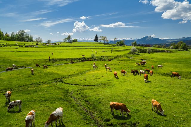 Pasture Mate