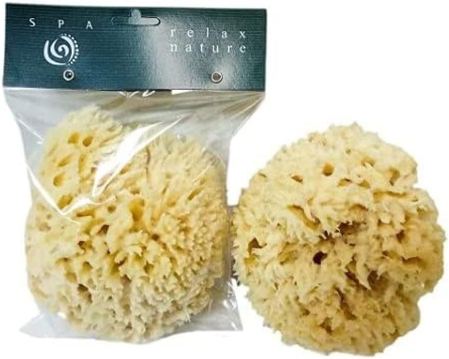 Eponge Naturelle Venise