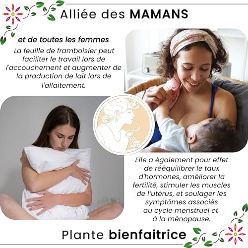 Vue 2 de Ascenbio Feuilles De Framboisier