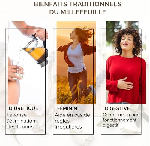 Vue 4 de Herbes Du Monde Tisane