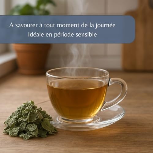 Vue 4 de Feuilles De Framboisier Bio