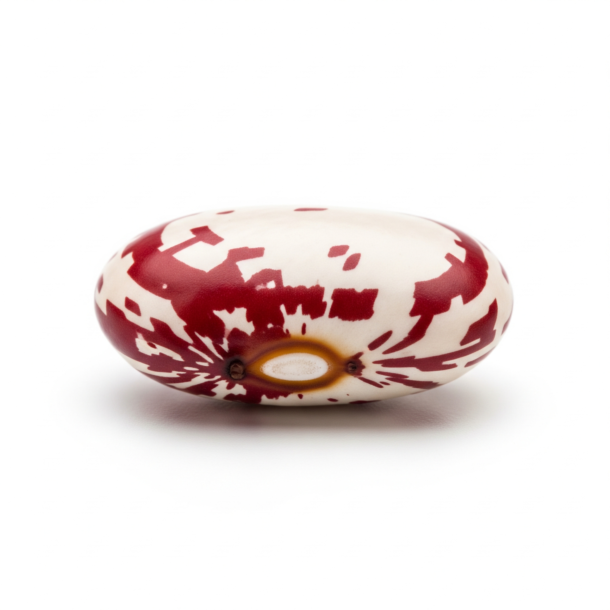 Anasazi bean Anasazi bean Poster