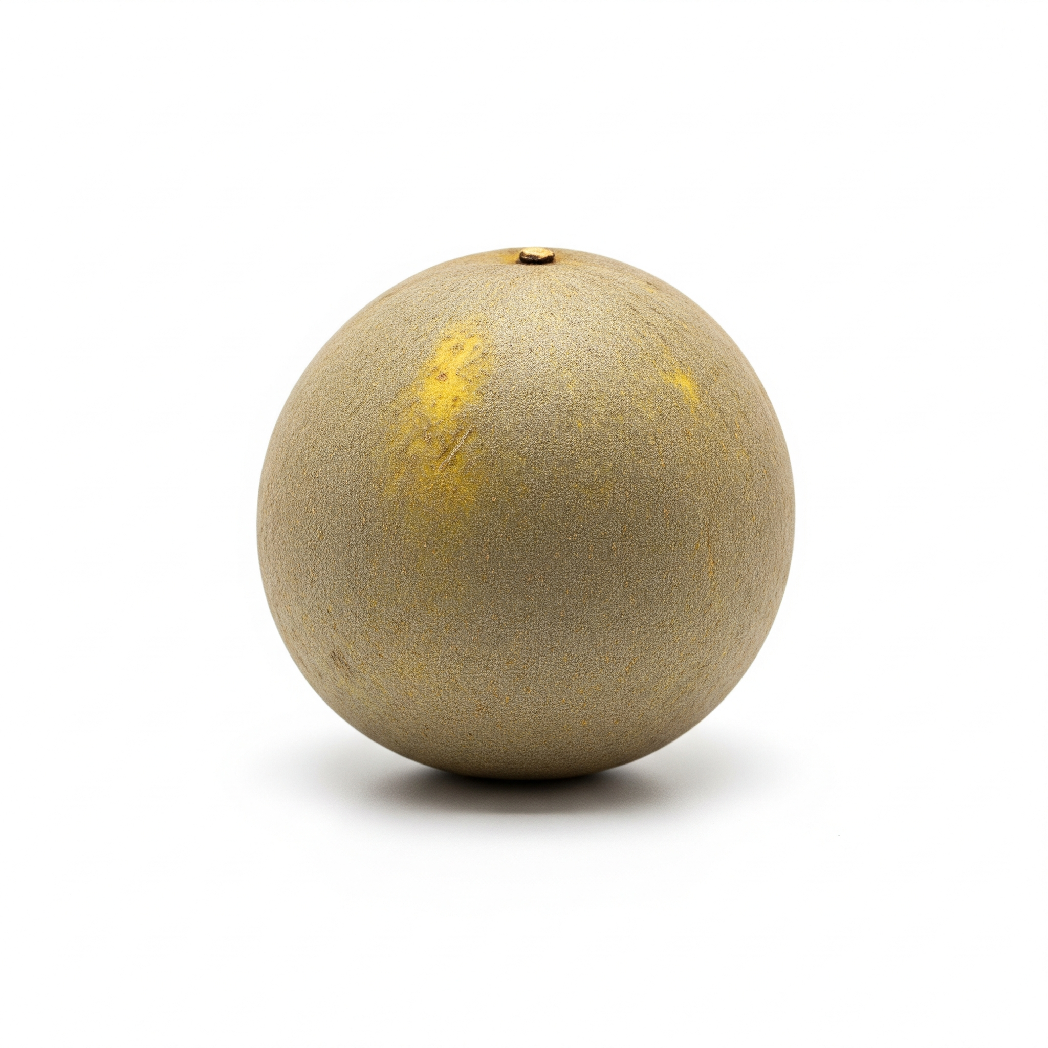 Aegle marmelos Aegle marmelos Poster