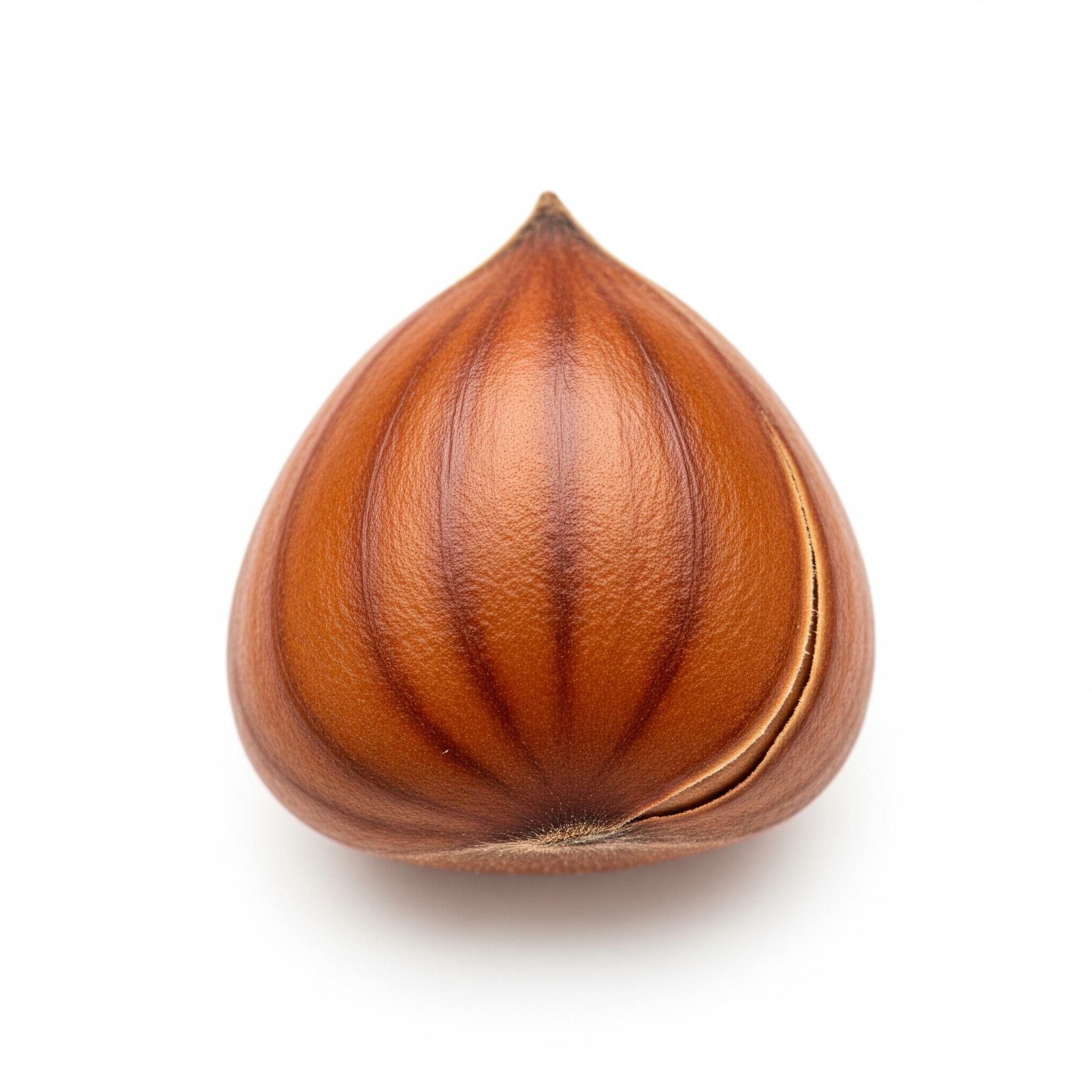 Beech nut Beech nut Poster