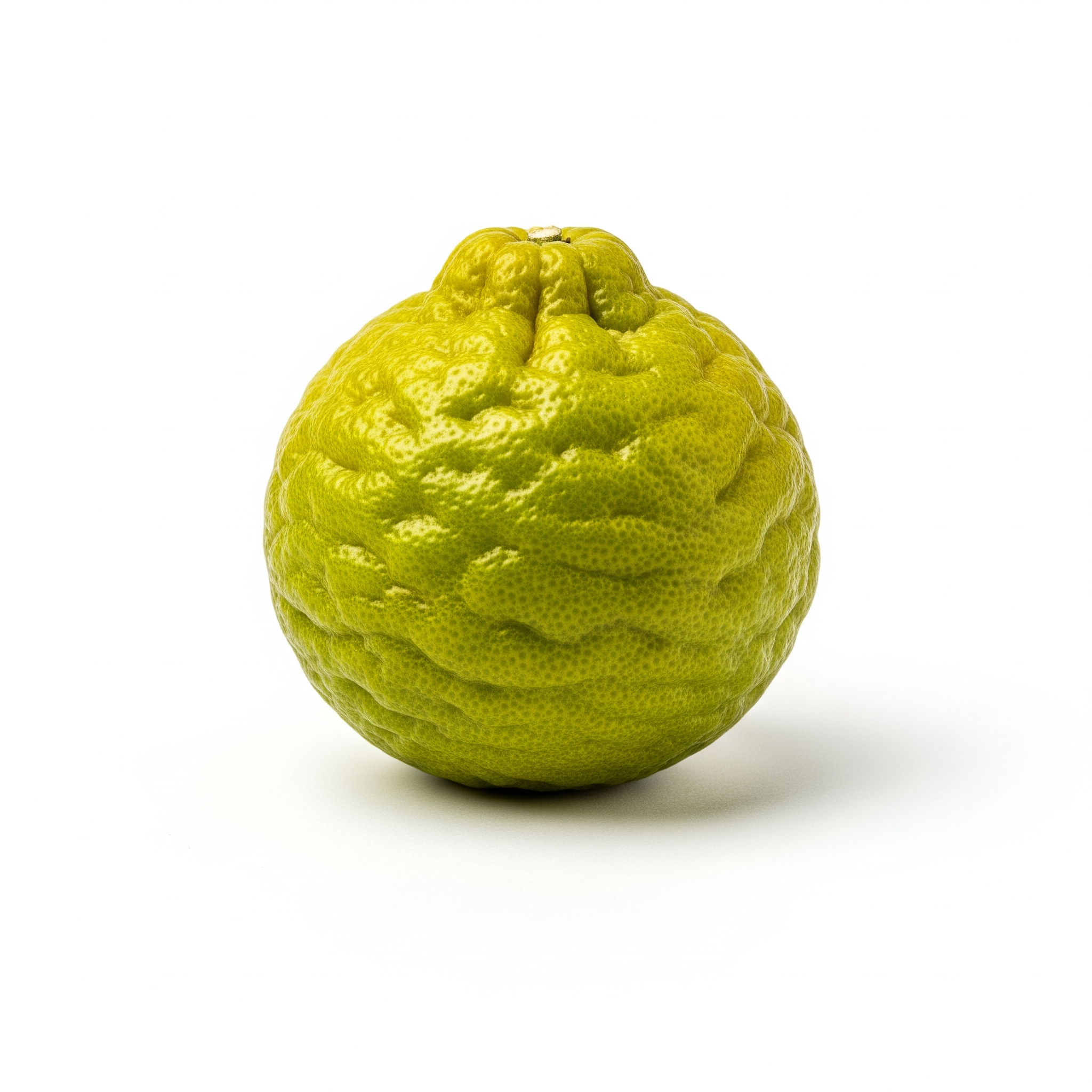 Bergamot orange Bergamot orange Poster