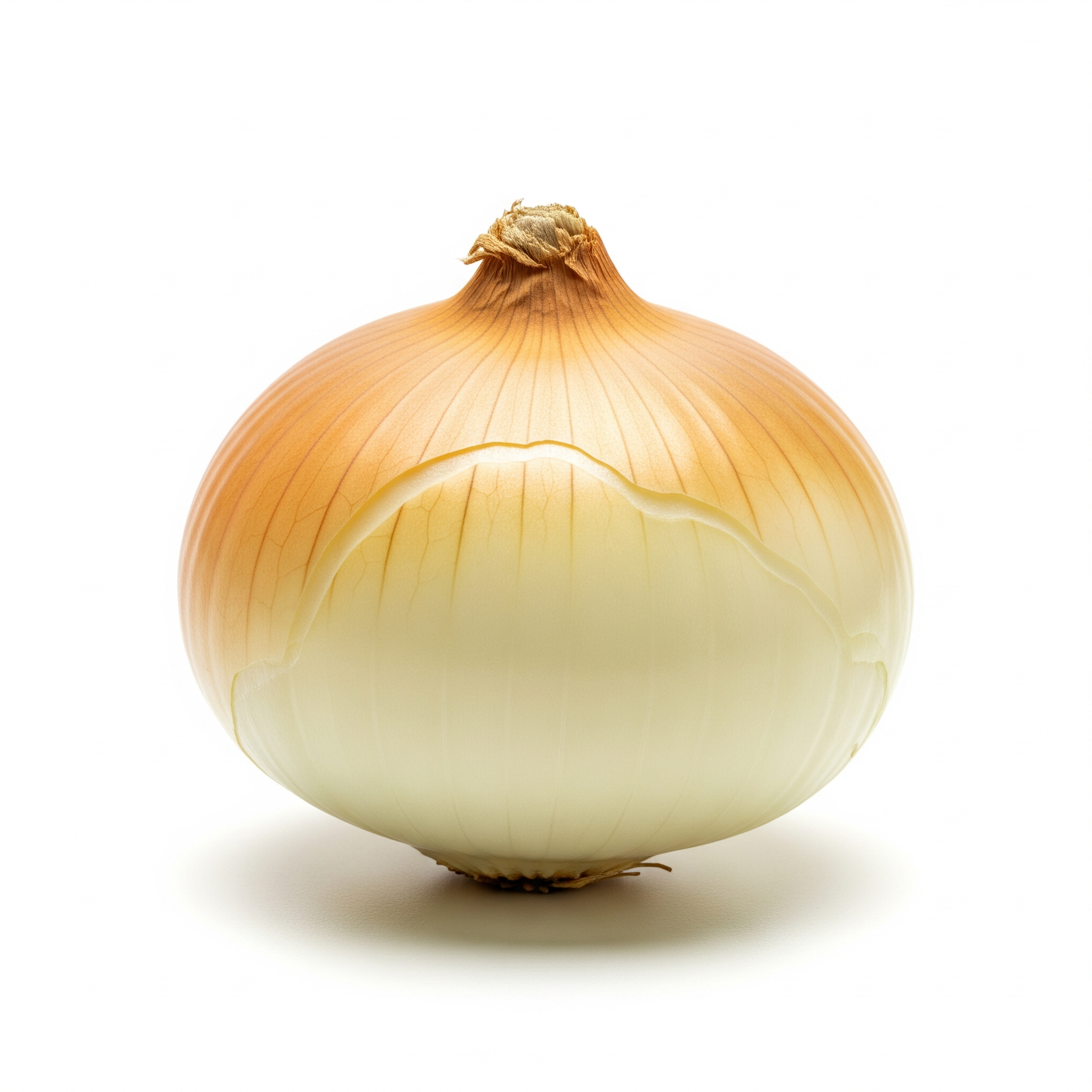 Bermuda onion Bermuda onion Poster