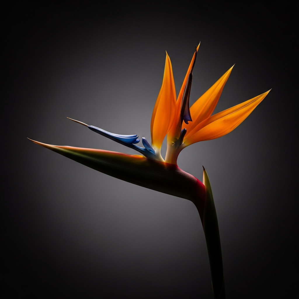 Bird of Paradise Bird of Paradise Mug