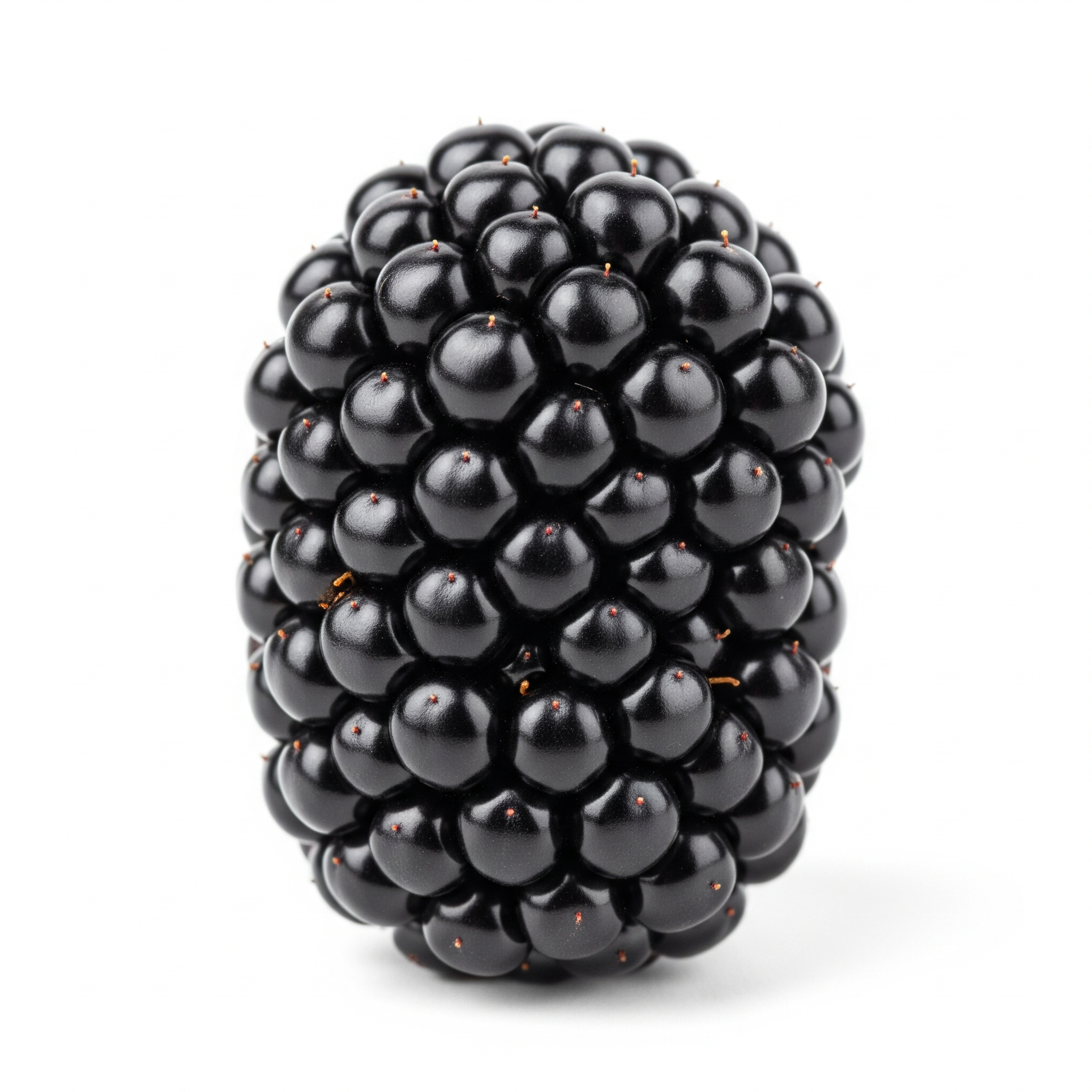 Blackberry Blackberry Poster