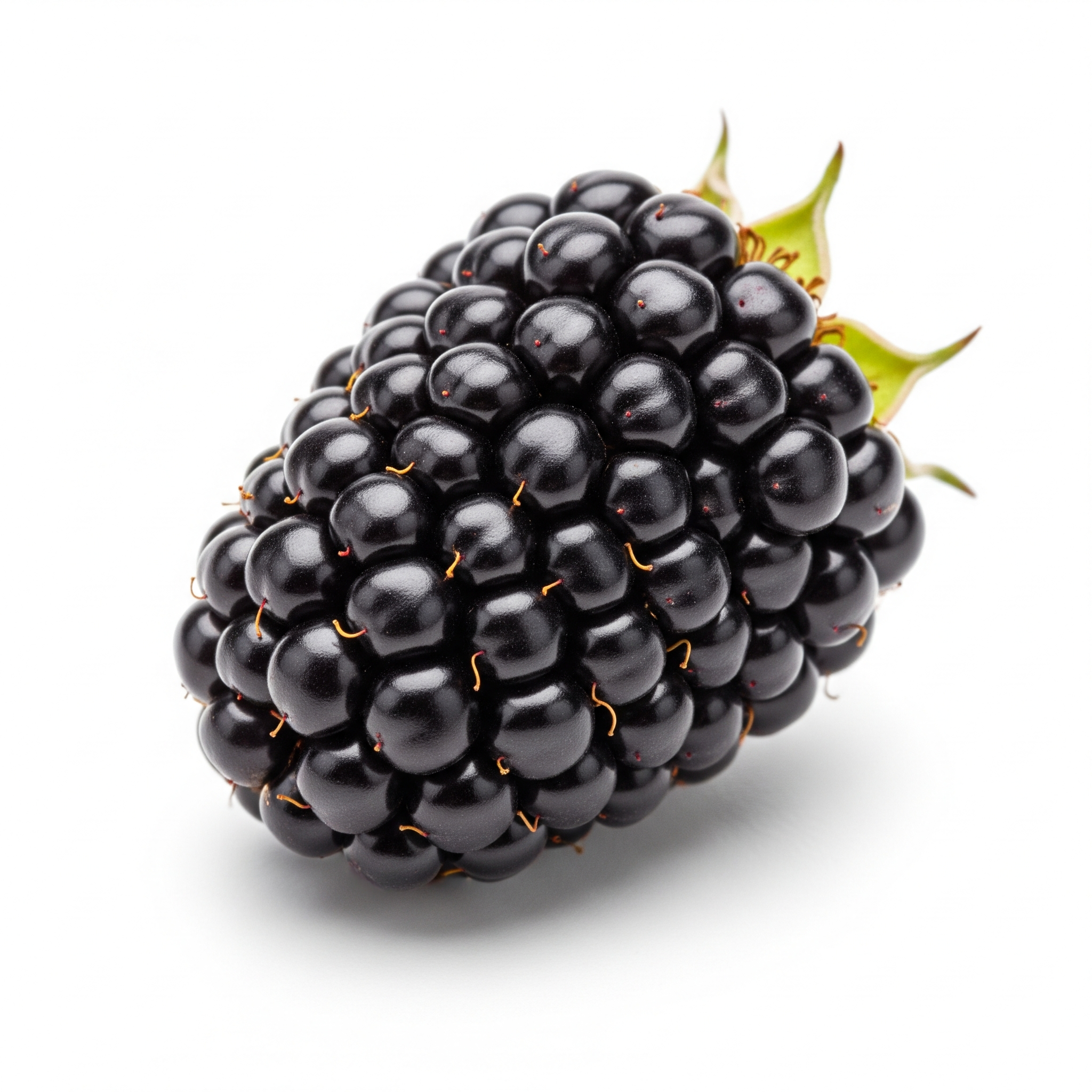 Blackberry Blackberry Poster