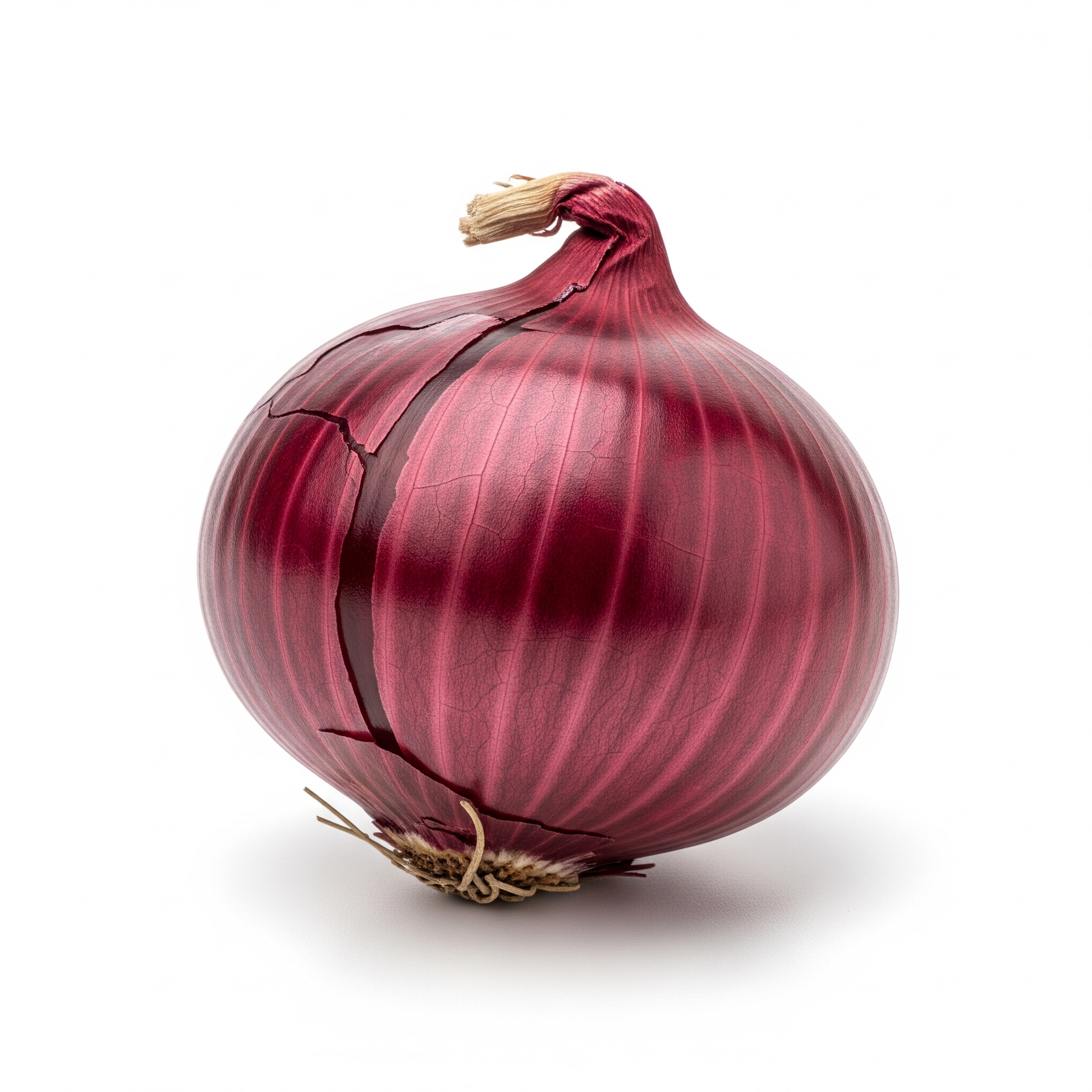 Bombay Red onion Bombay Red onion Poster