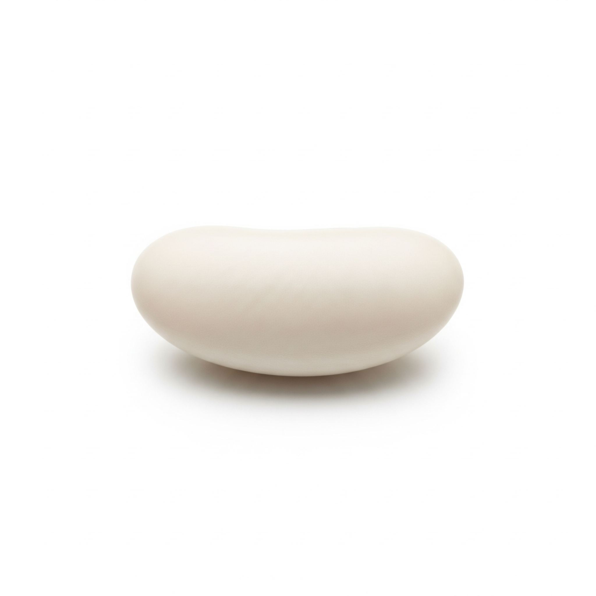 Cannellini bean Cannellini bean Poster