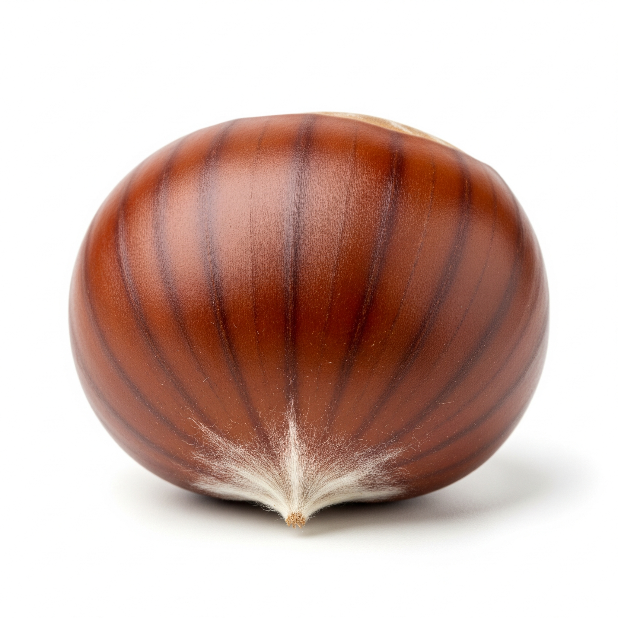 Chestnut Chestnut Poster