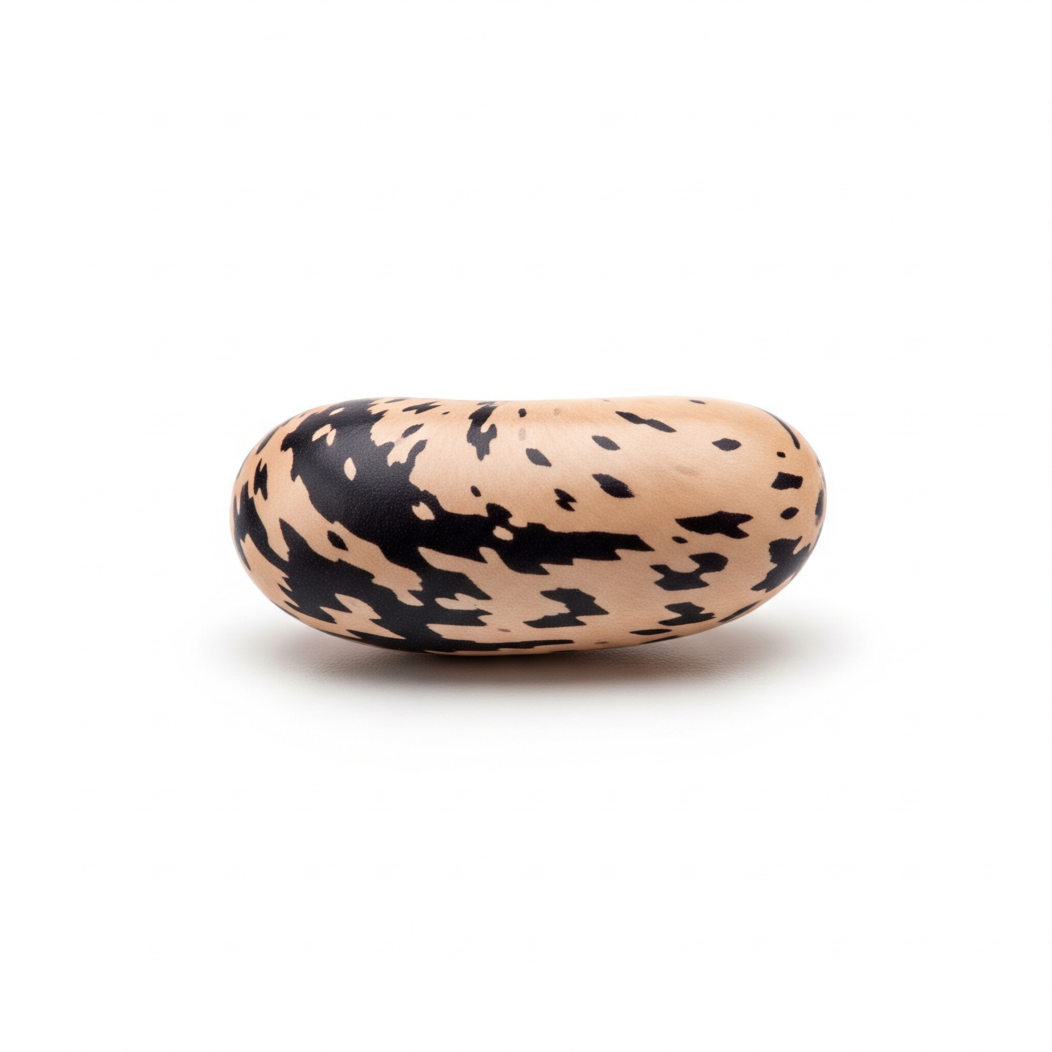 Common Bean Common Bean Poster