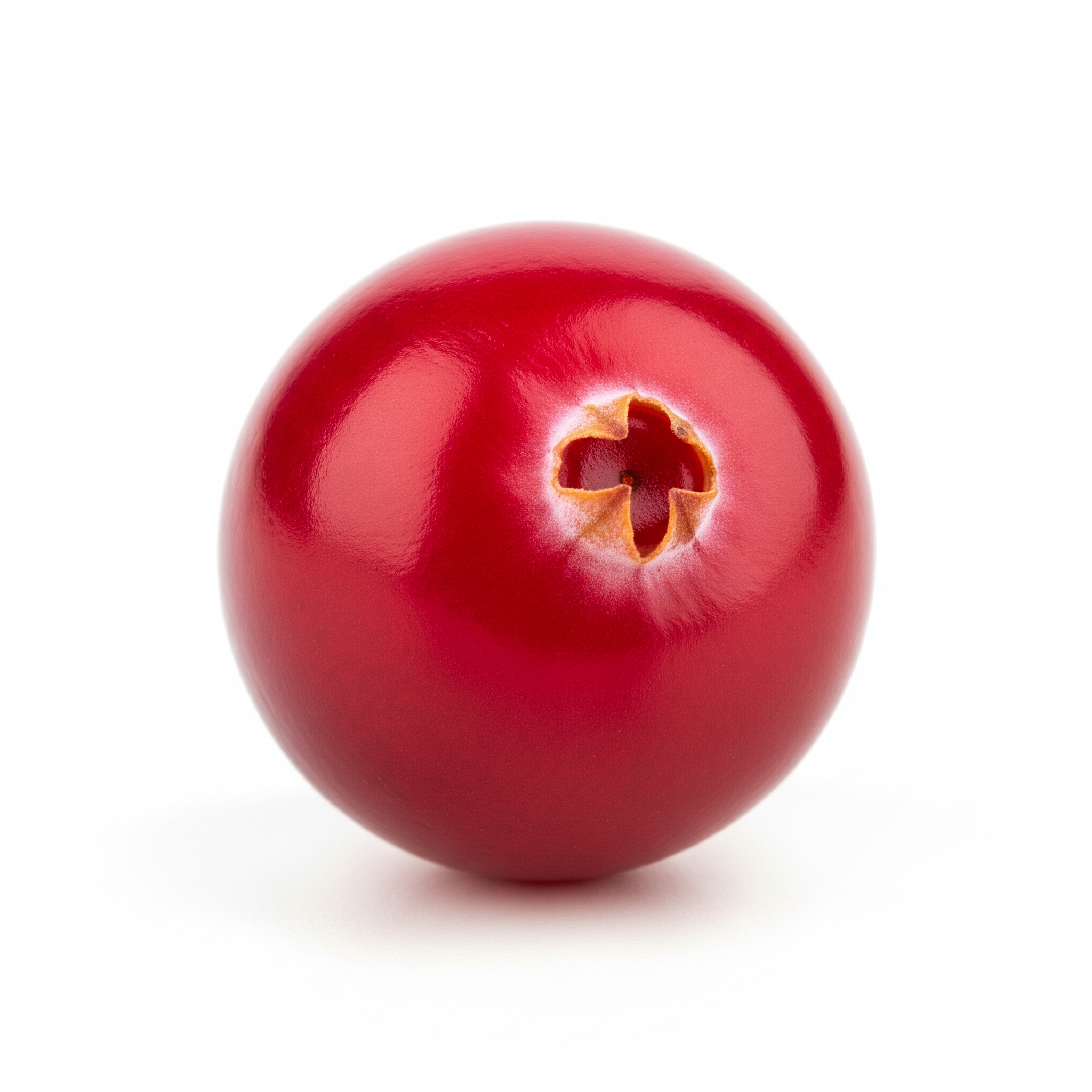 Cranberry Cranberry Poster