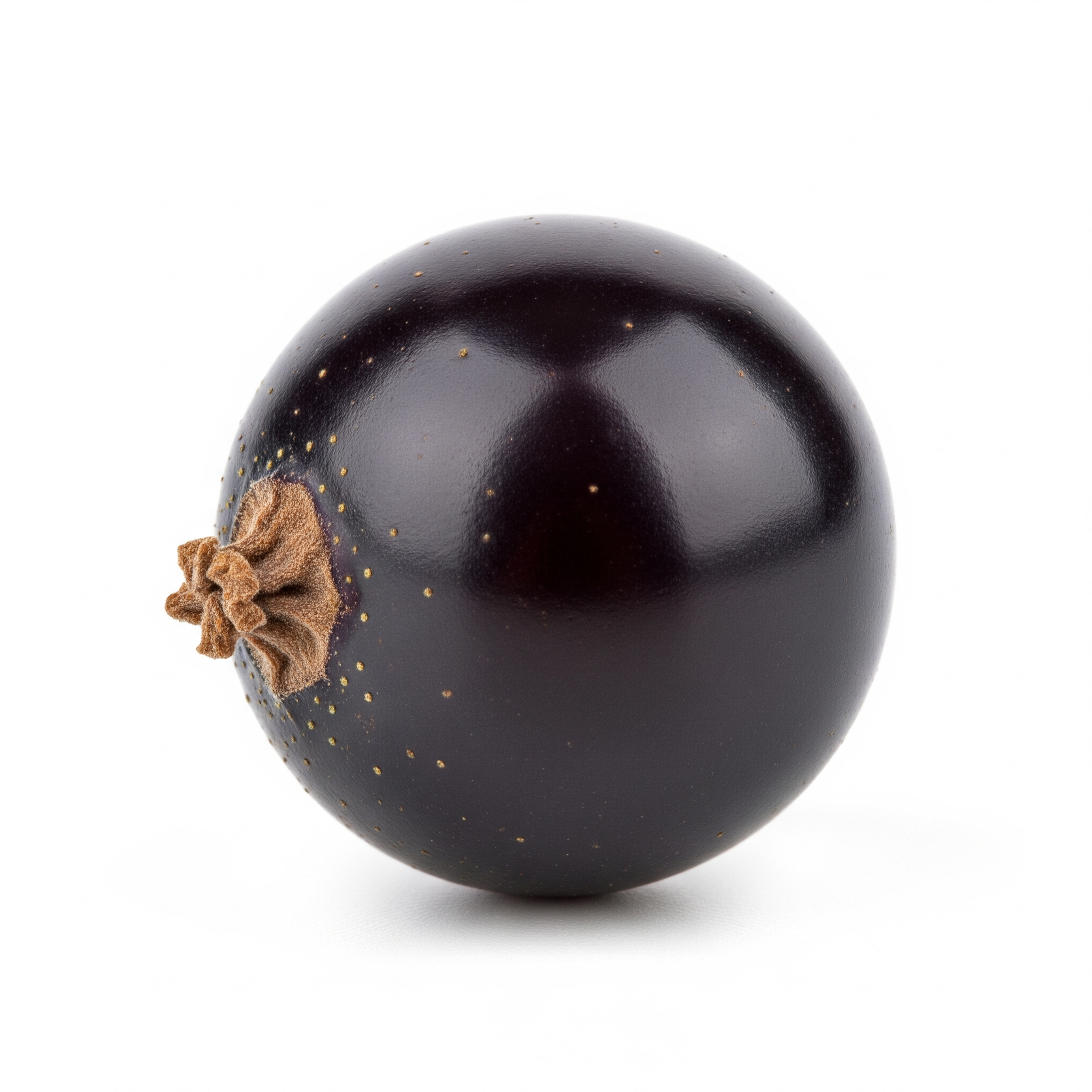 Currant Currant Poster