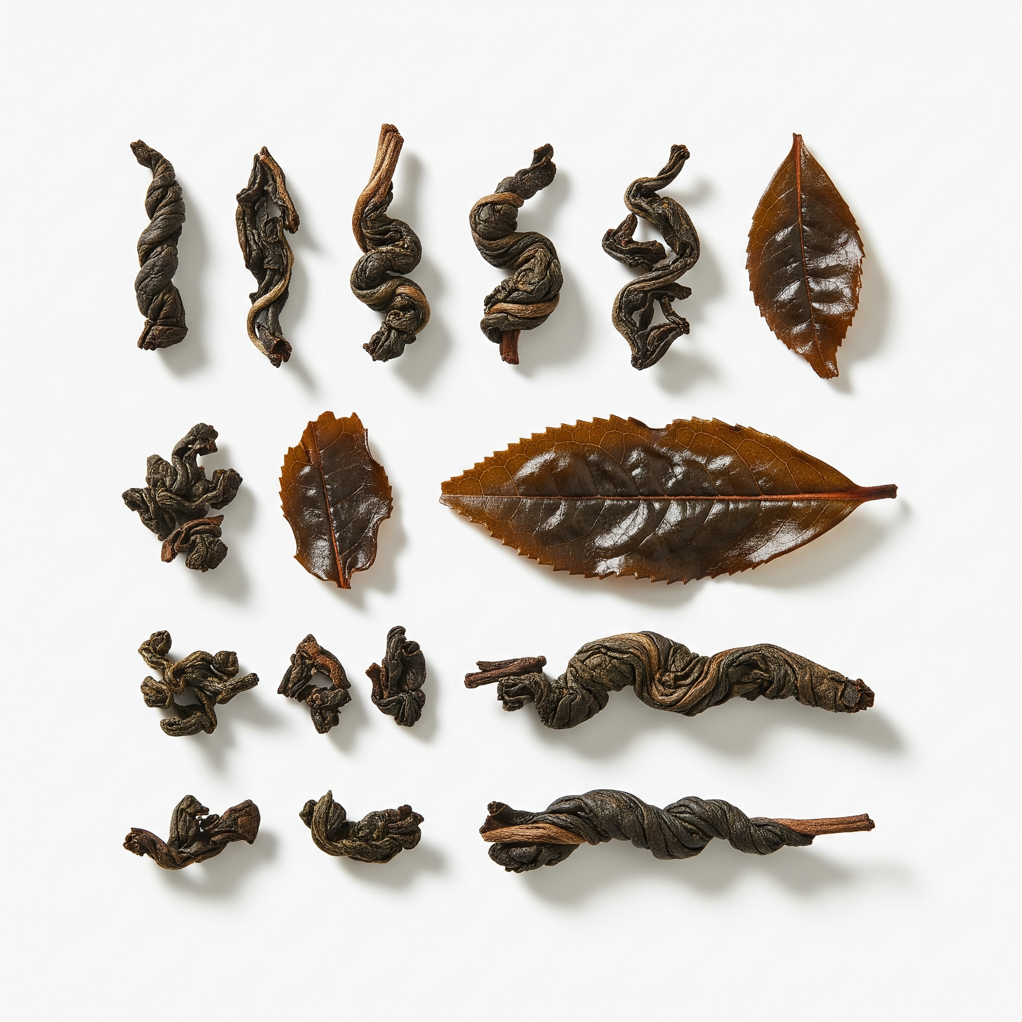 Da Hong Pao Da Hong Pao Poster