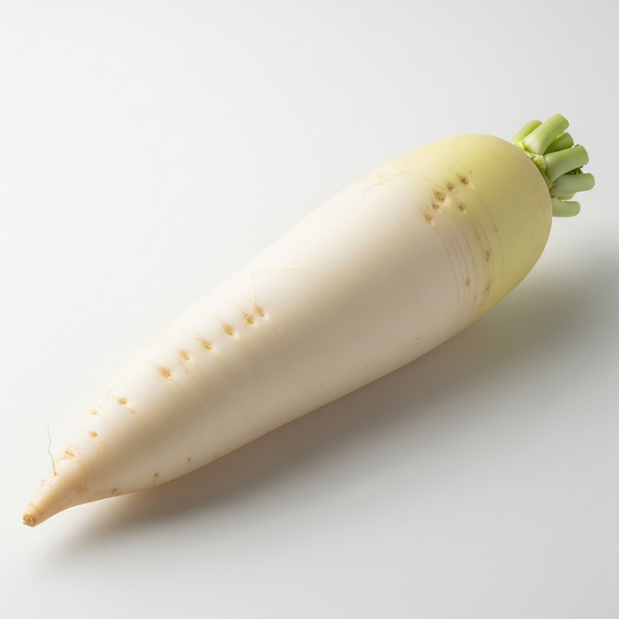 Daikon Daikon Poster