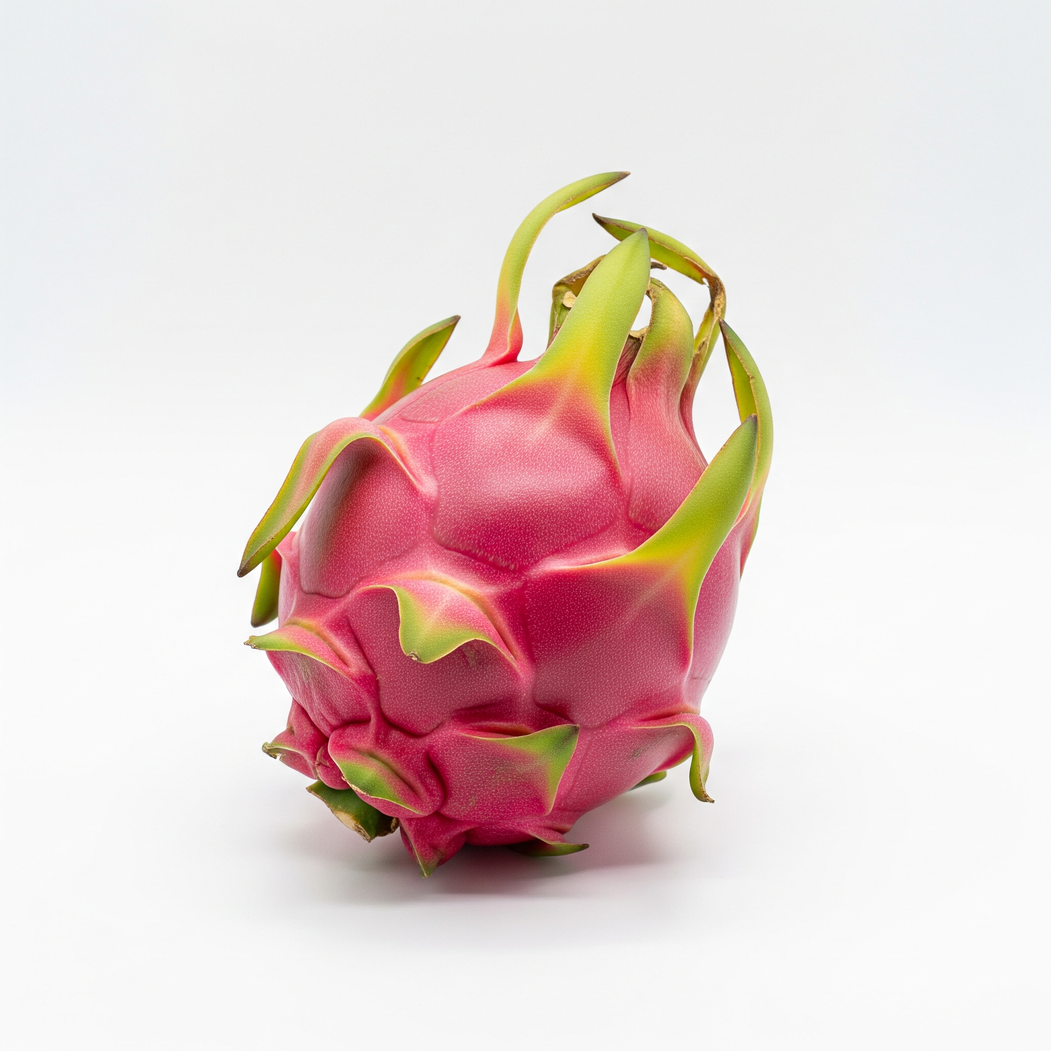 Dragon Fruit Dragon Fruit Poster
