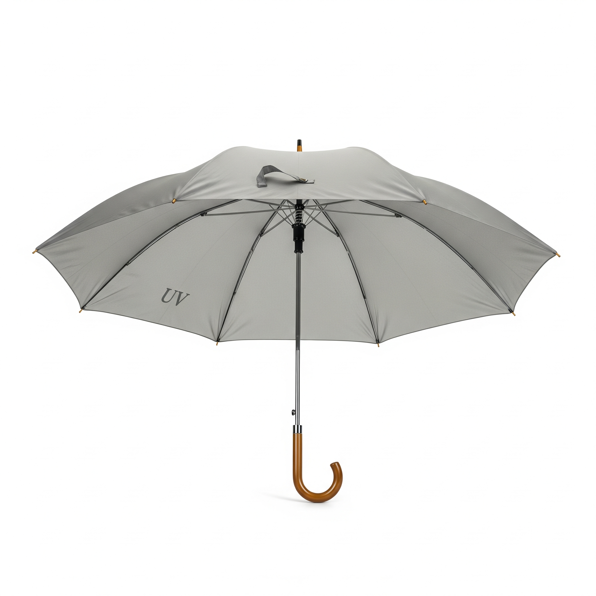 Dual-purpose Umbrella Dual-purpose Umbrella Poster