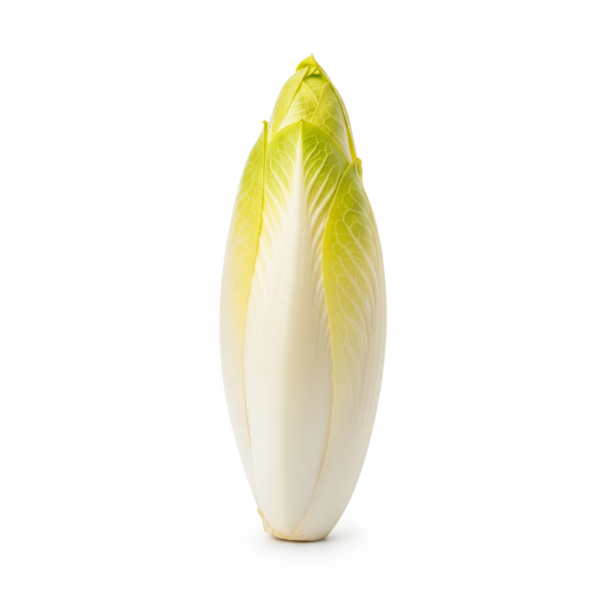 Endive Endive Poster