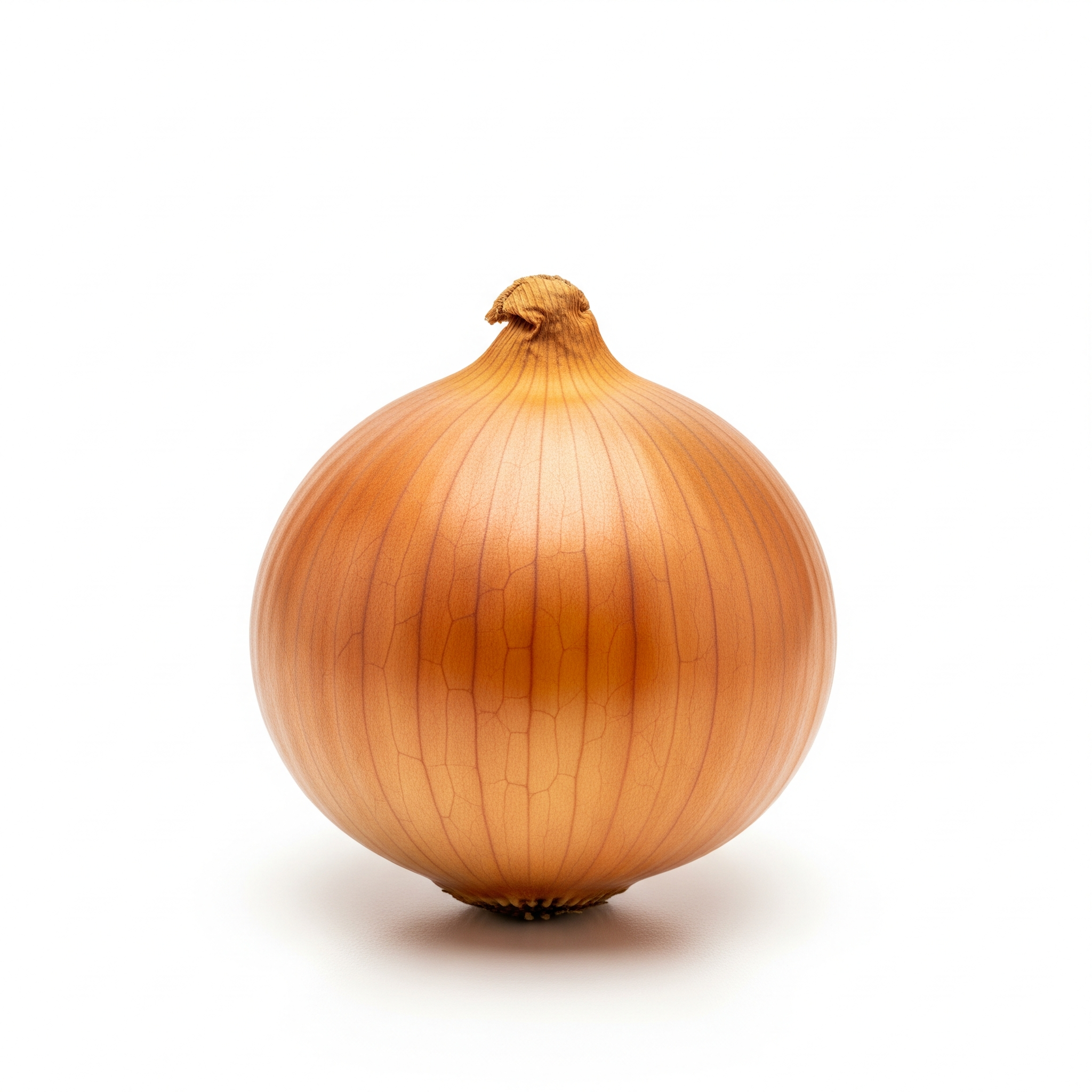 Globe onion Globe onion Poster