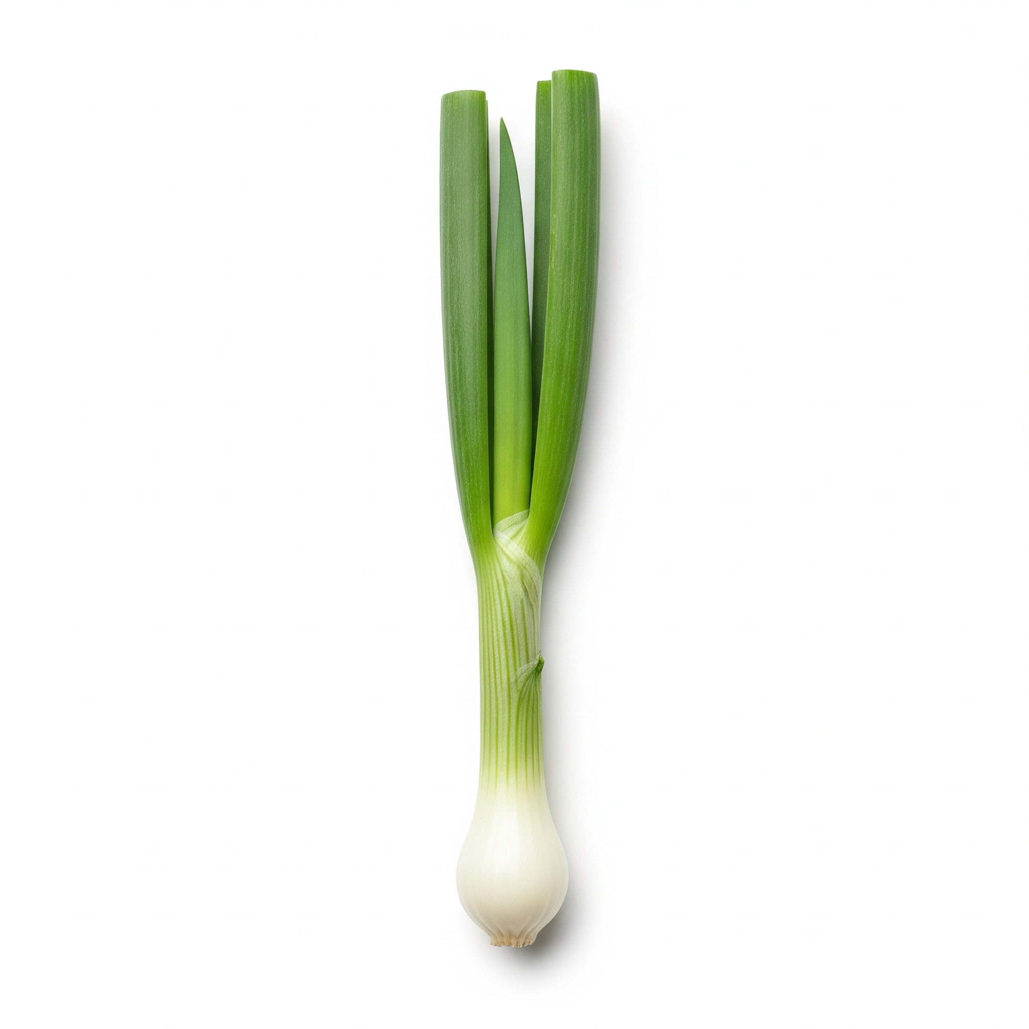 Green Onion Green Onion Poster