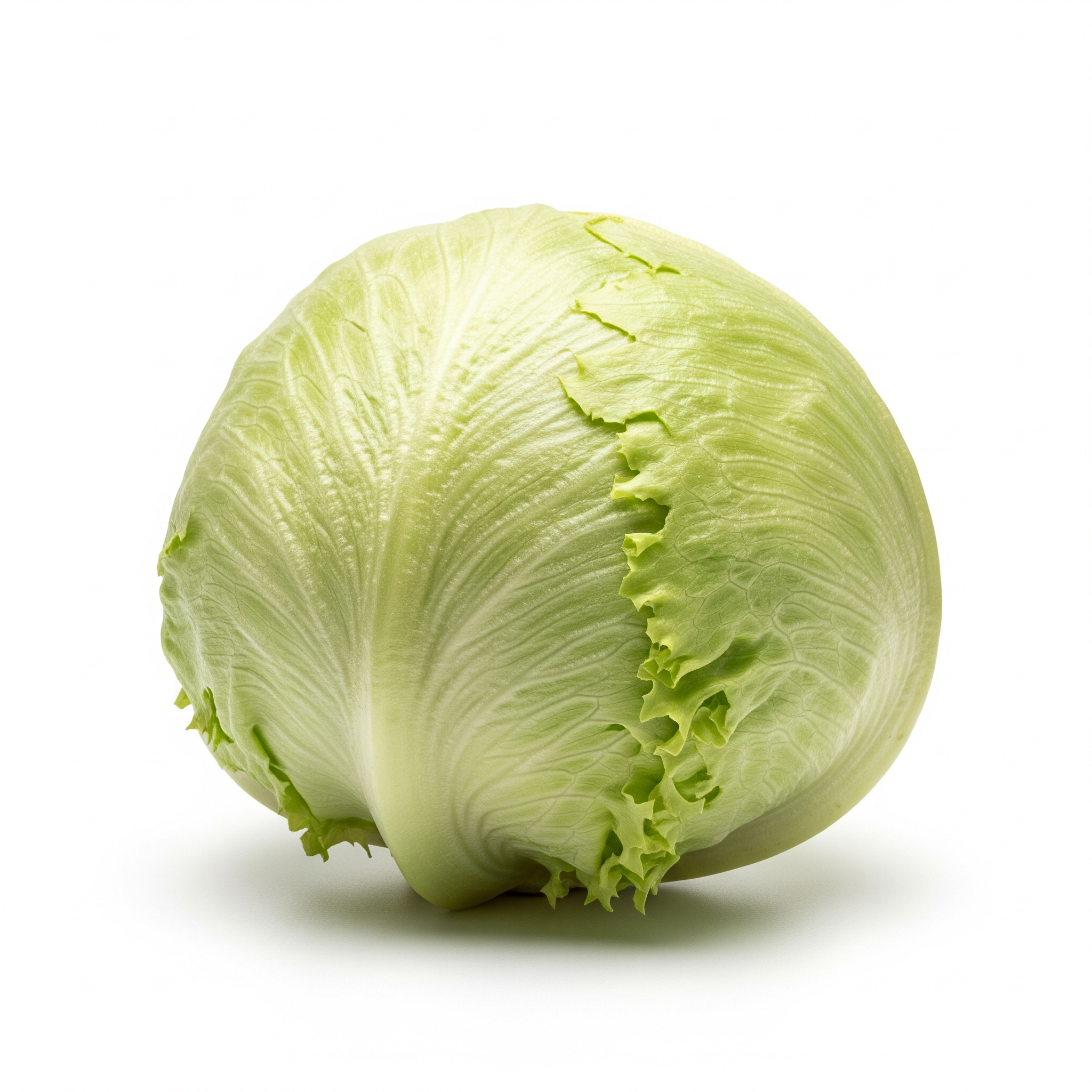 Iceberg lettuce Iceberg lettuce Poster