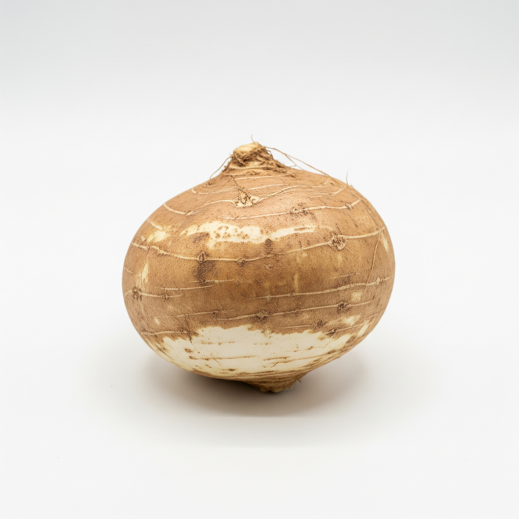 Jicama Jicama Poster