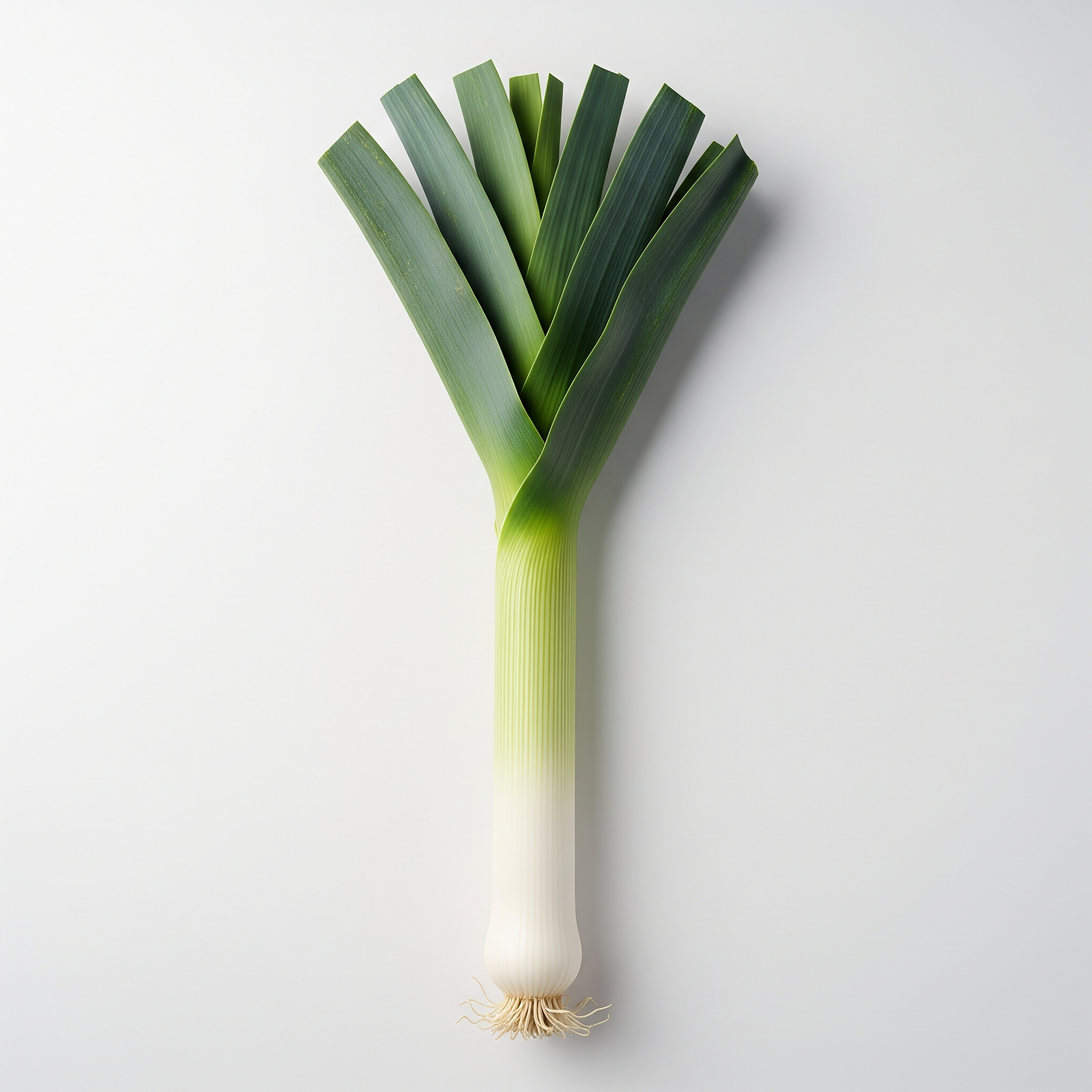 Leek Leek Poster