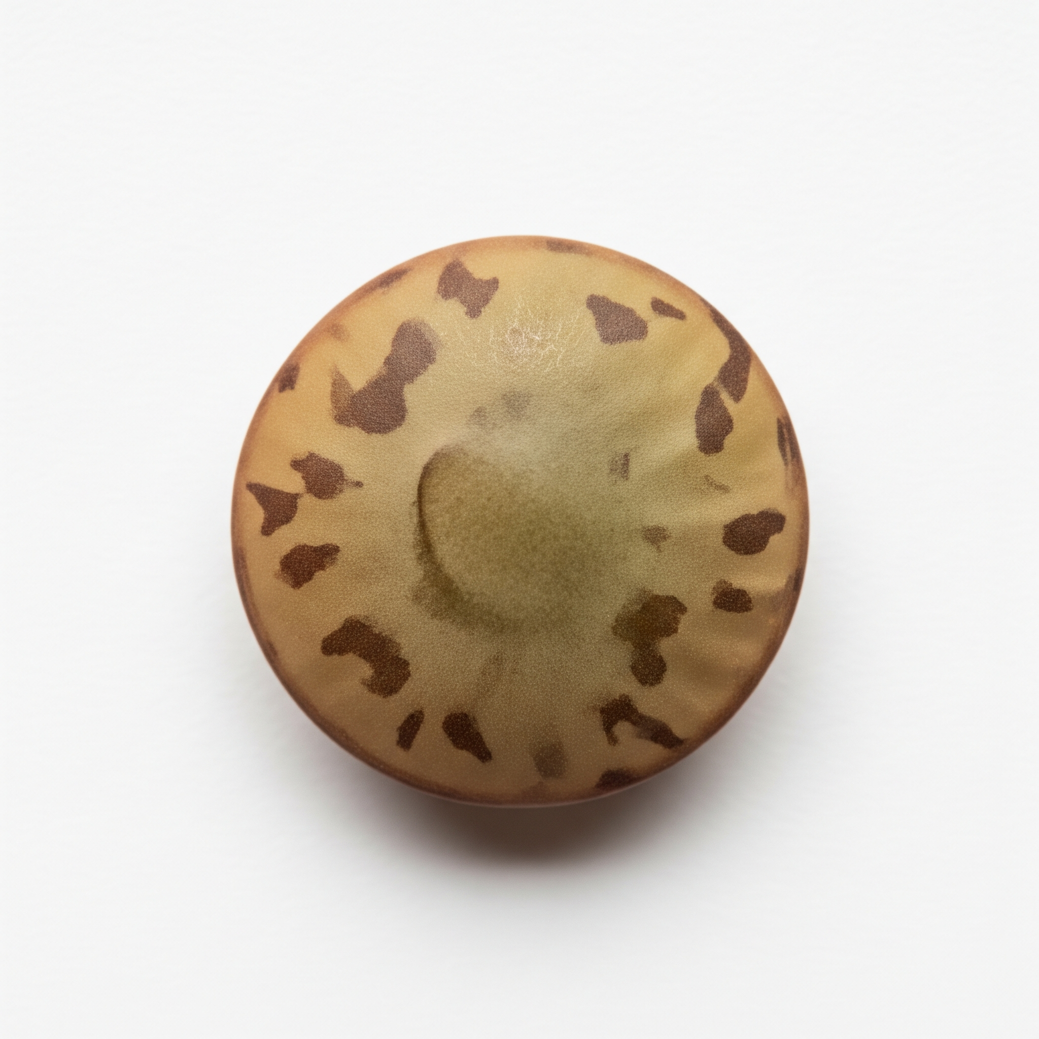 Lentil Lentil Poster