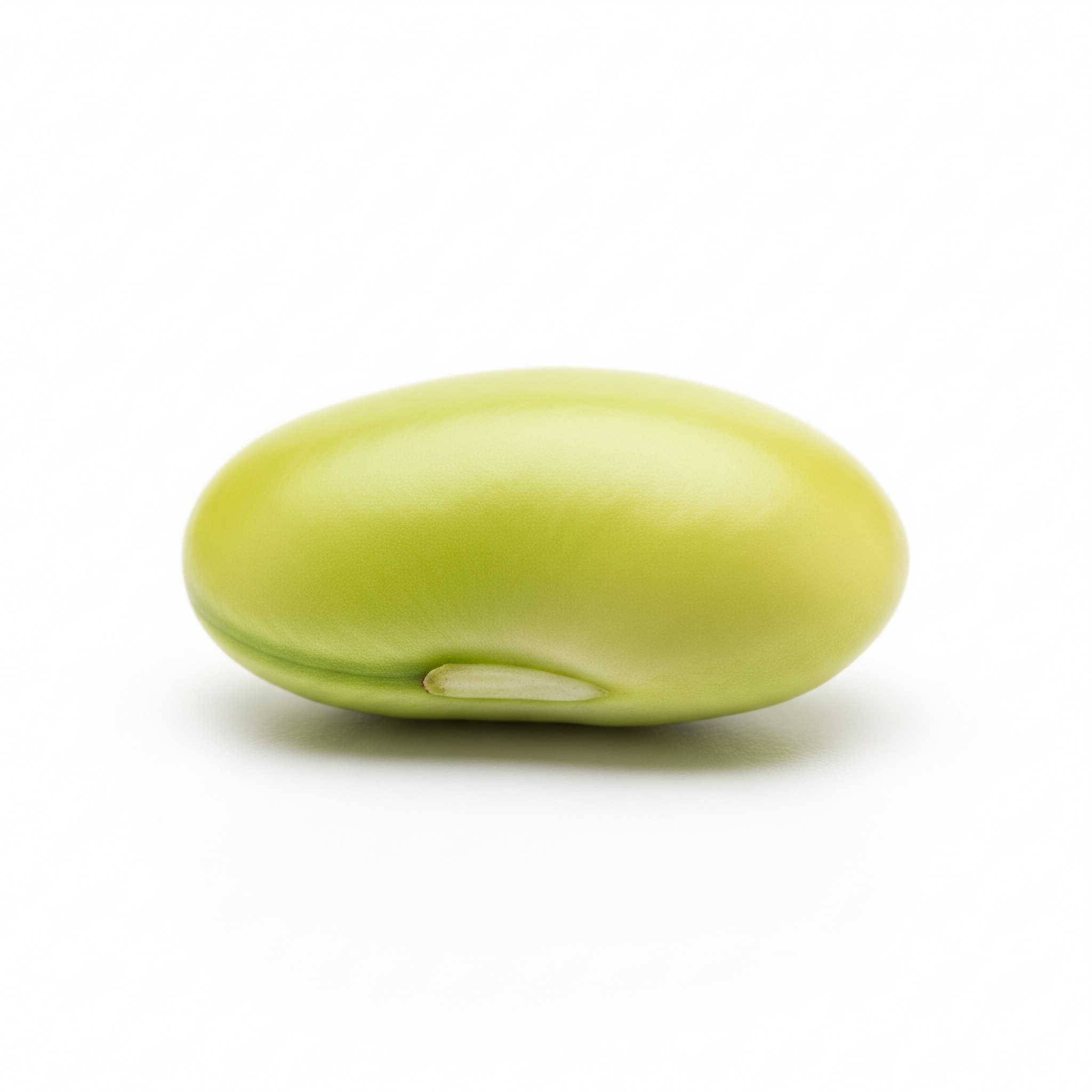 Lima Bean Lima Bean Poster