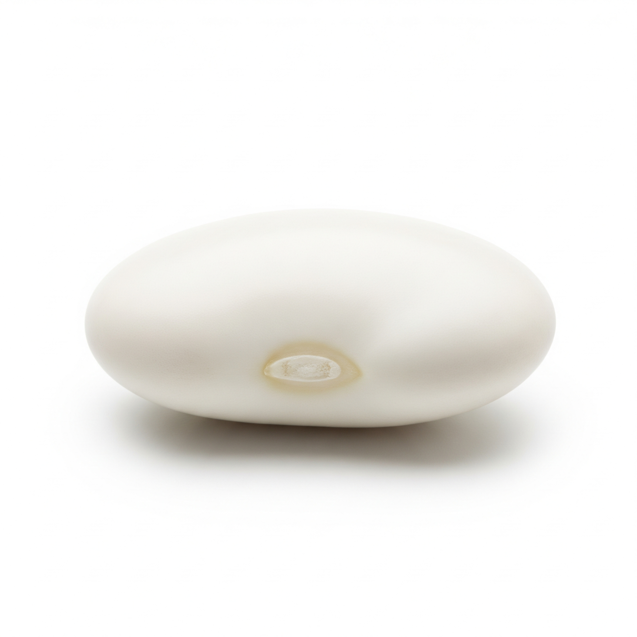 Marrow Bean Marrow Bean Poster