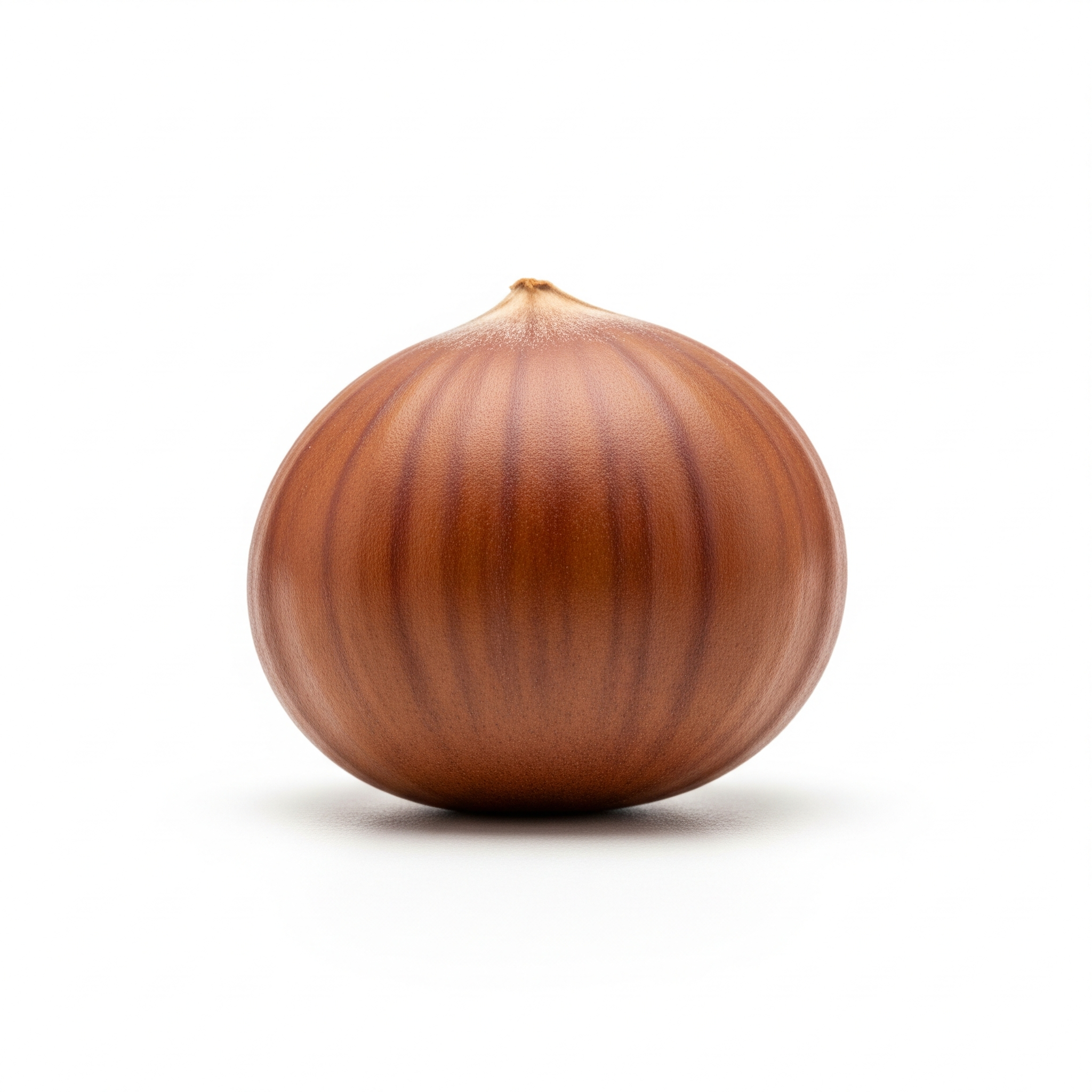 Maya nut Maya nut Poster