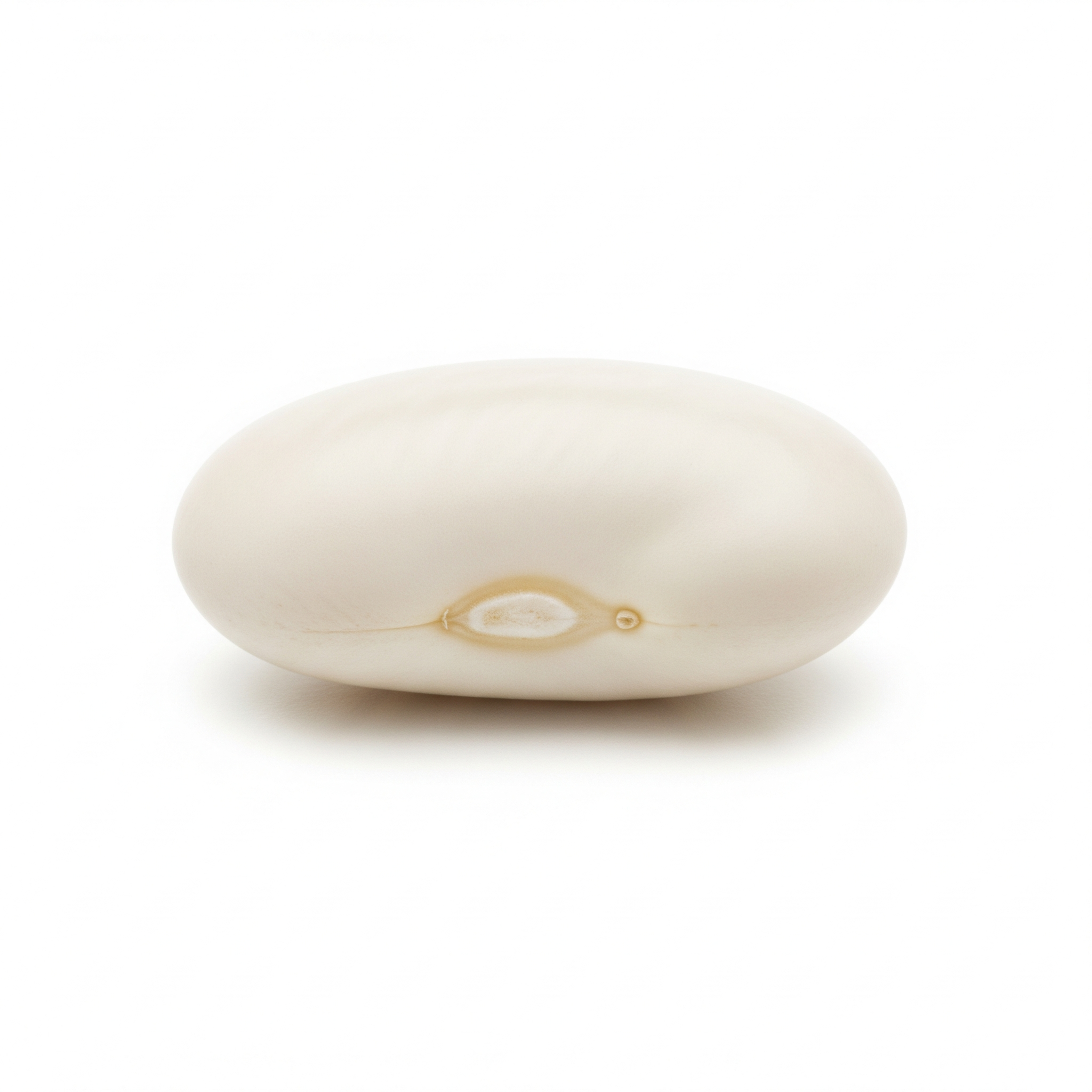 Navy Bean Navy Bean Poster