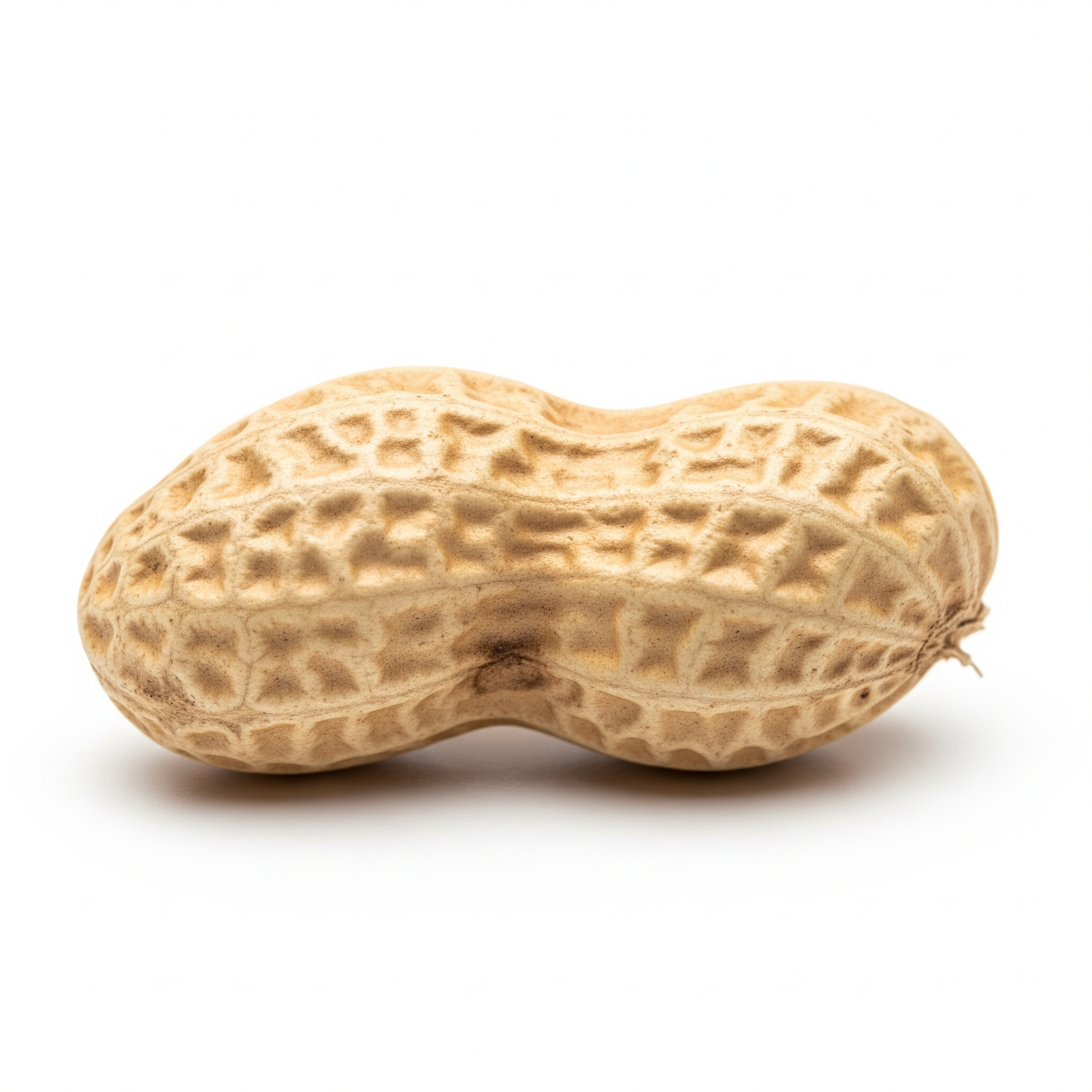 Peanut Peanut Poster