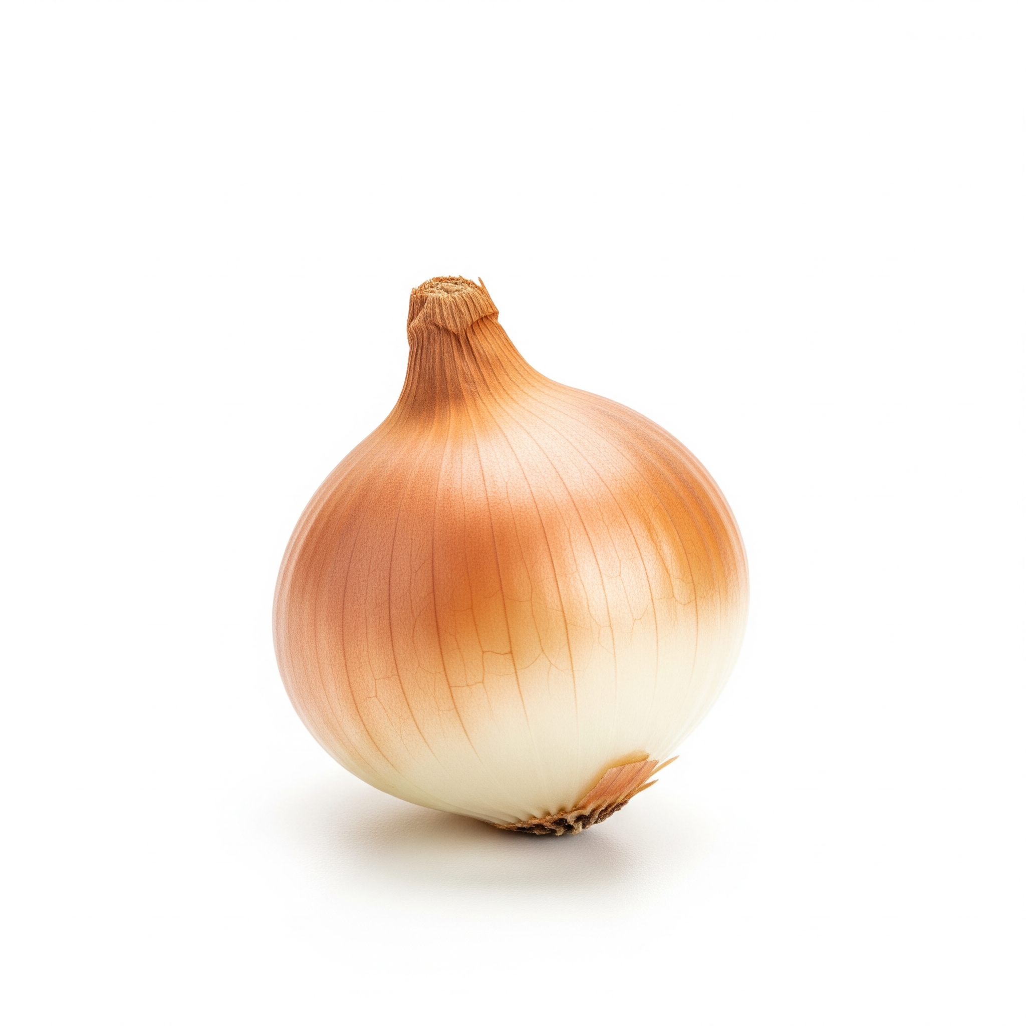 Pickling onion Pickling onion Poster