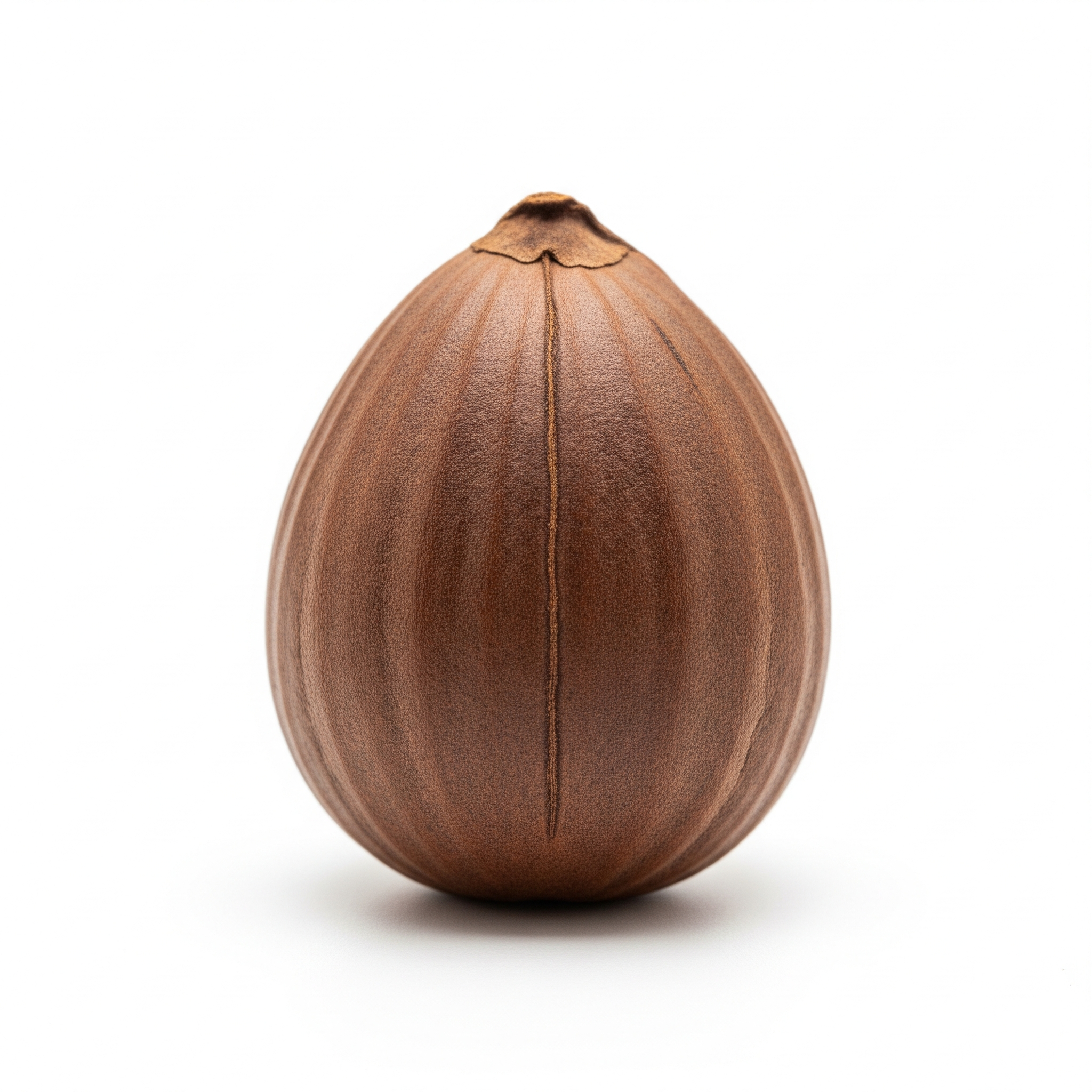 Pili Nut Pili Nut Poster