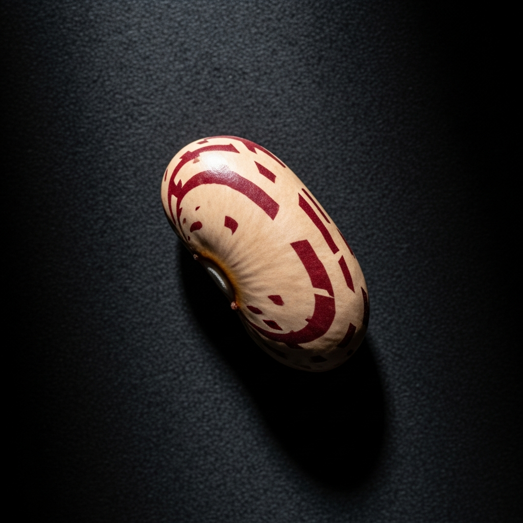 Pinto Bean Pinto Bean Mug