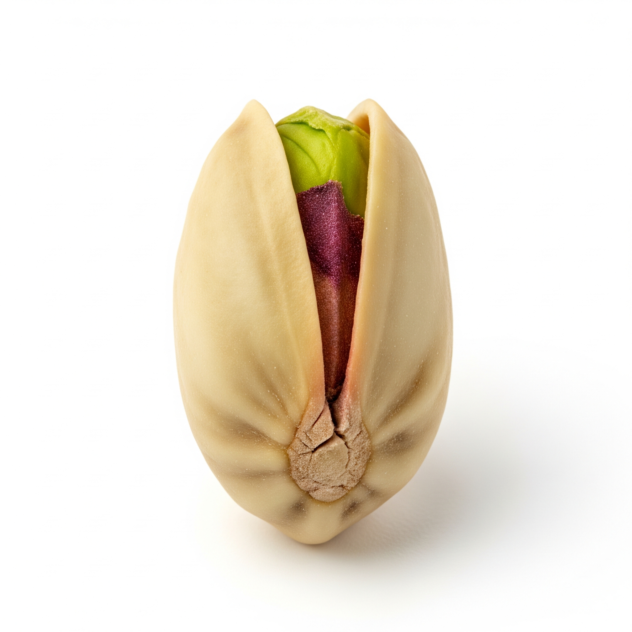 Pistachio Pistachio Poster