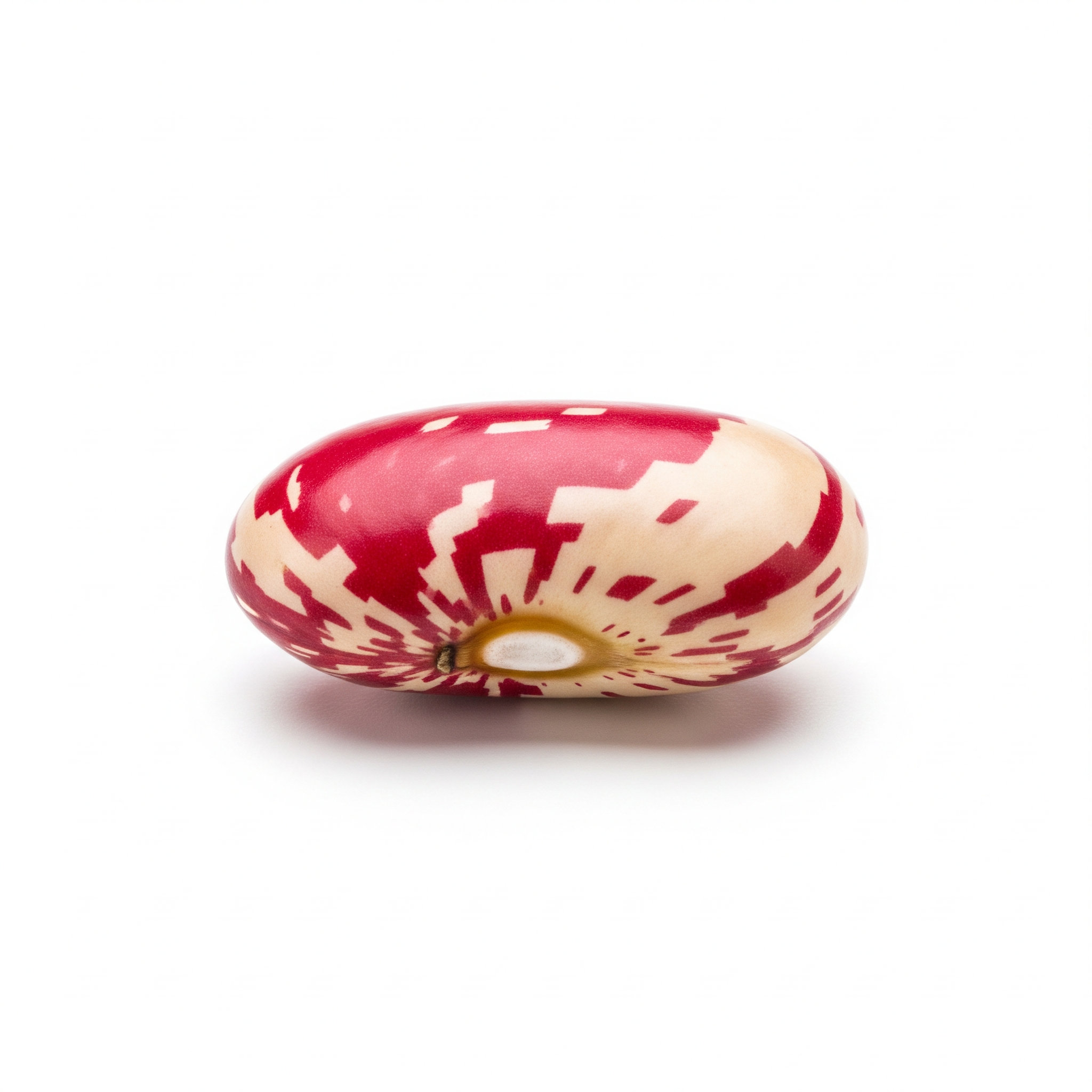 Roman bean Roman bean Poster