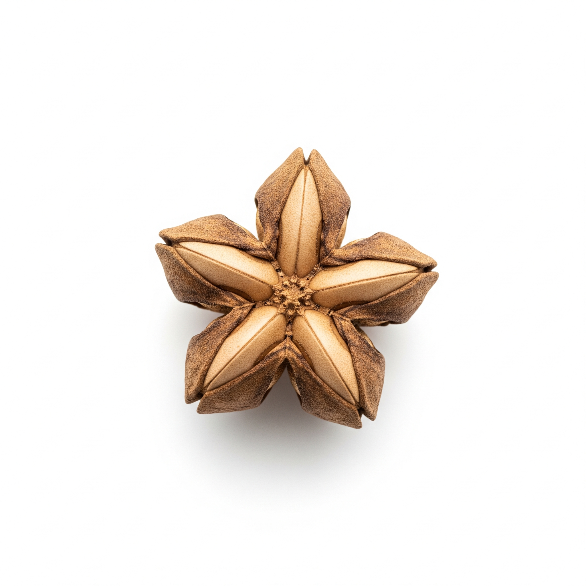 Sacha inchi Sacha inchi Poster