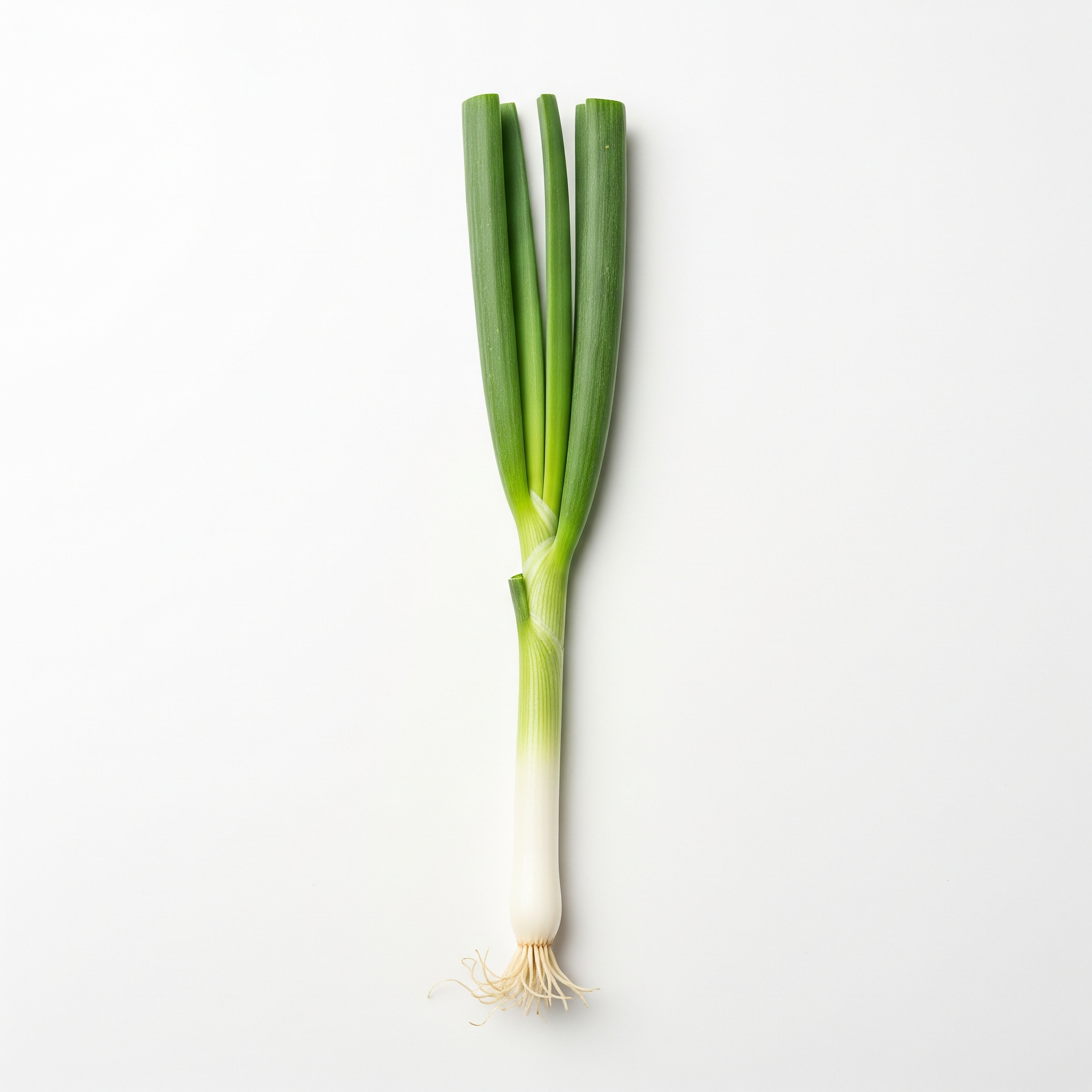 Scallion Scallion Poster