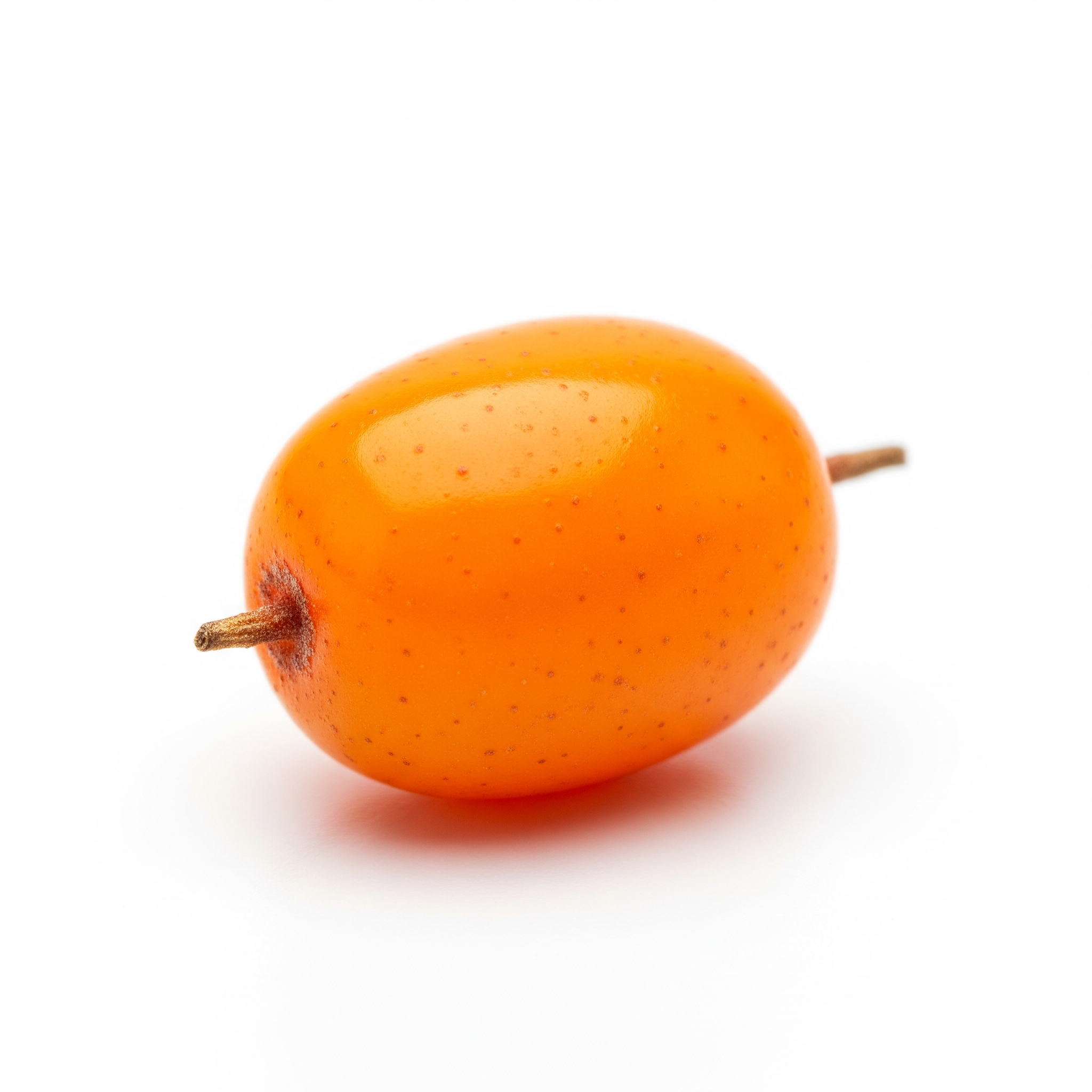 Sea buckthorn berry Sea buckthorn berry Poster