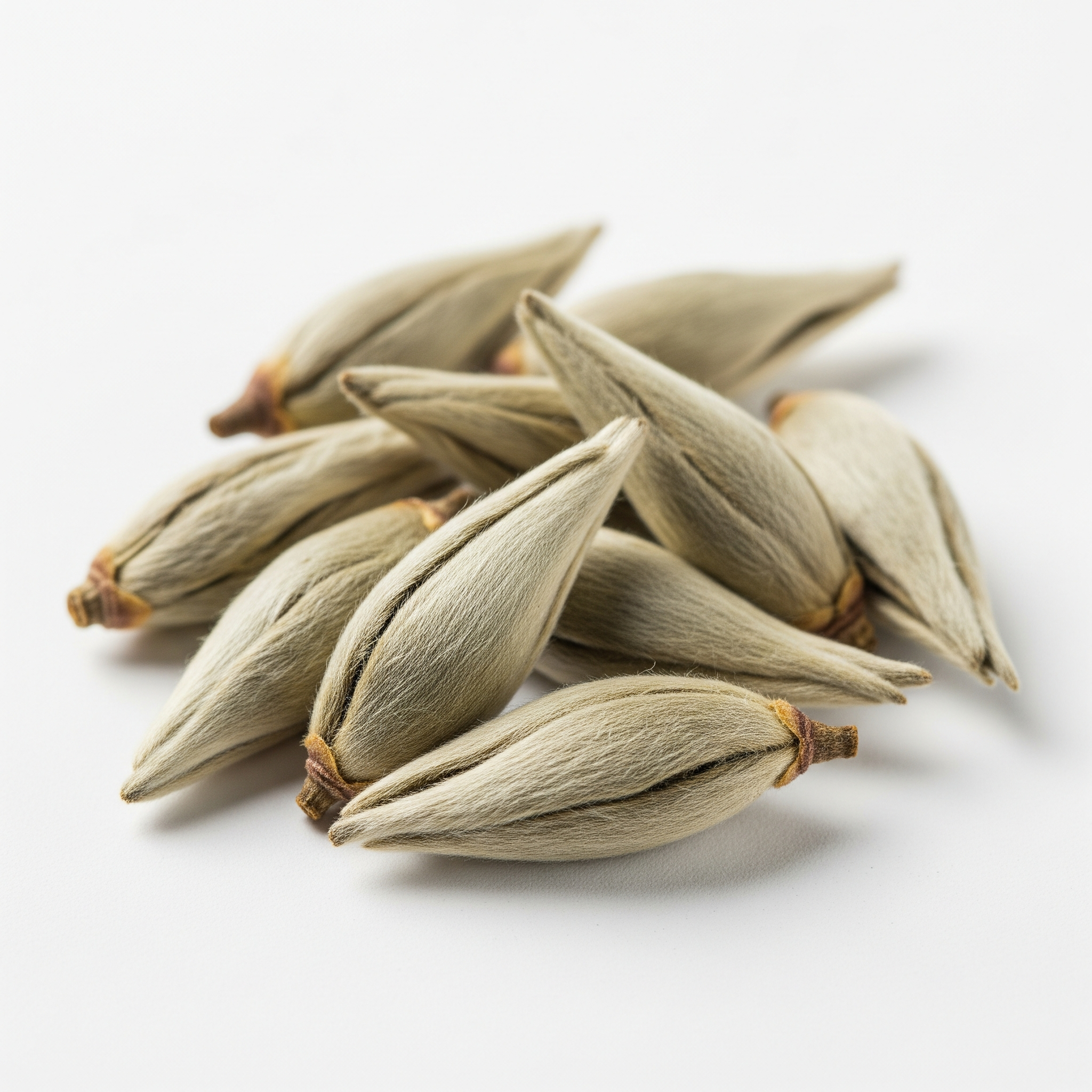 Silver Needle Silver Needle Poster