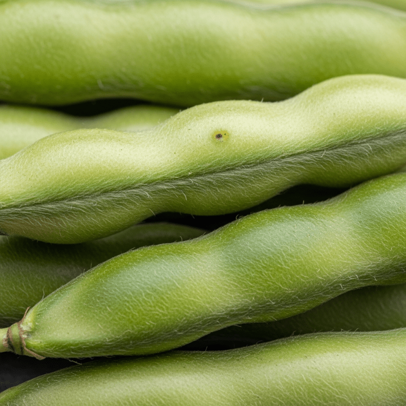 Cluster Bean Cluster Bean Shirt