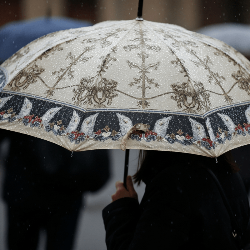 Fashion Umbrella Fashion Umbrella Shirt
