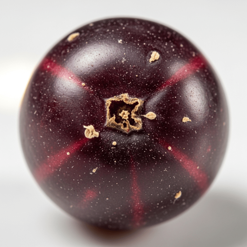 Jostaberry Jostaberry Shirt